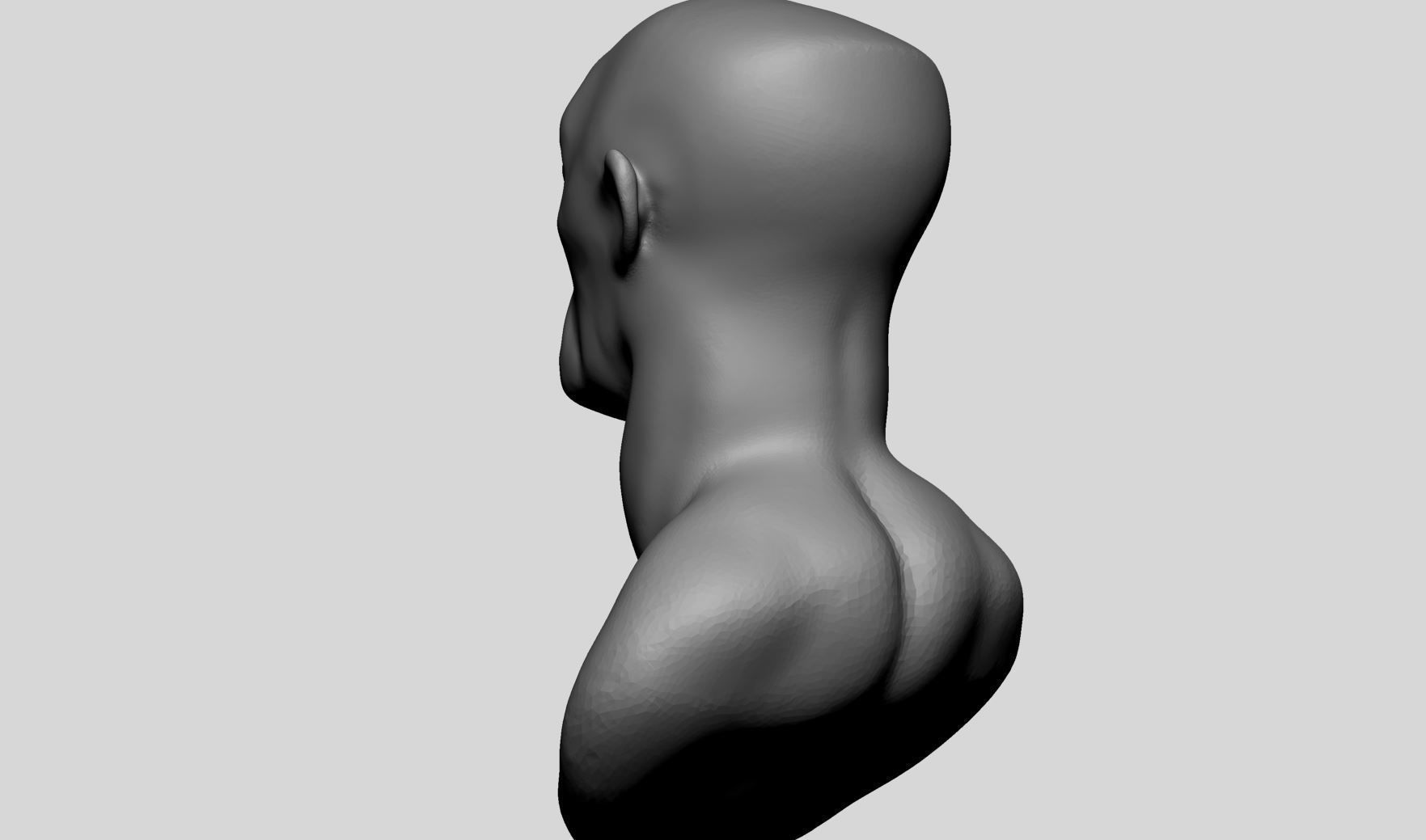 Base Creature Heads 3D model_6