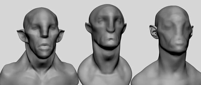 Base Creature Heads 3D model