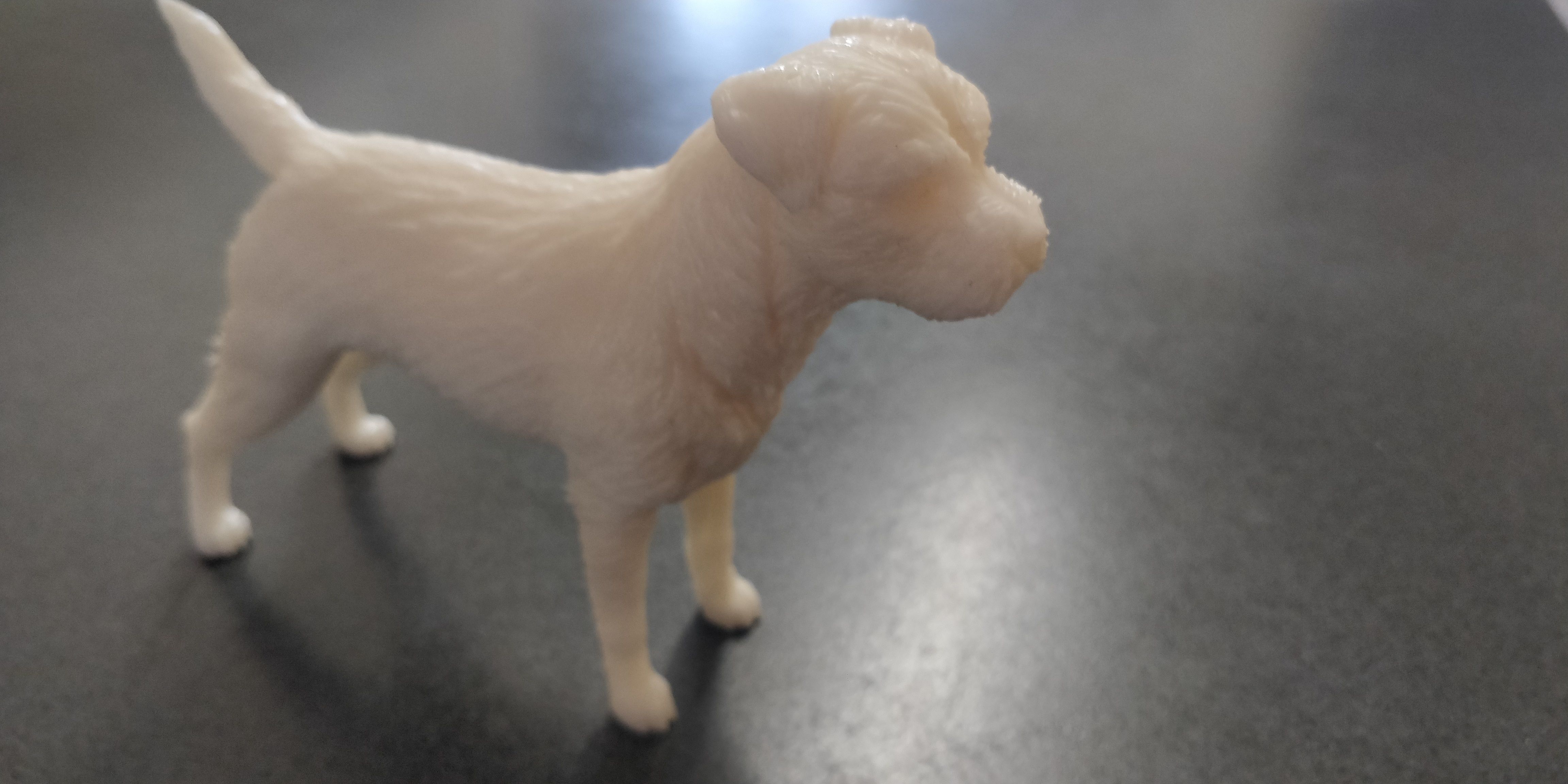 Border terrier 3D print model_13