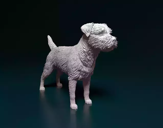 Border terrier 3D print model
