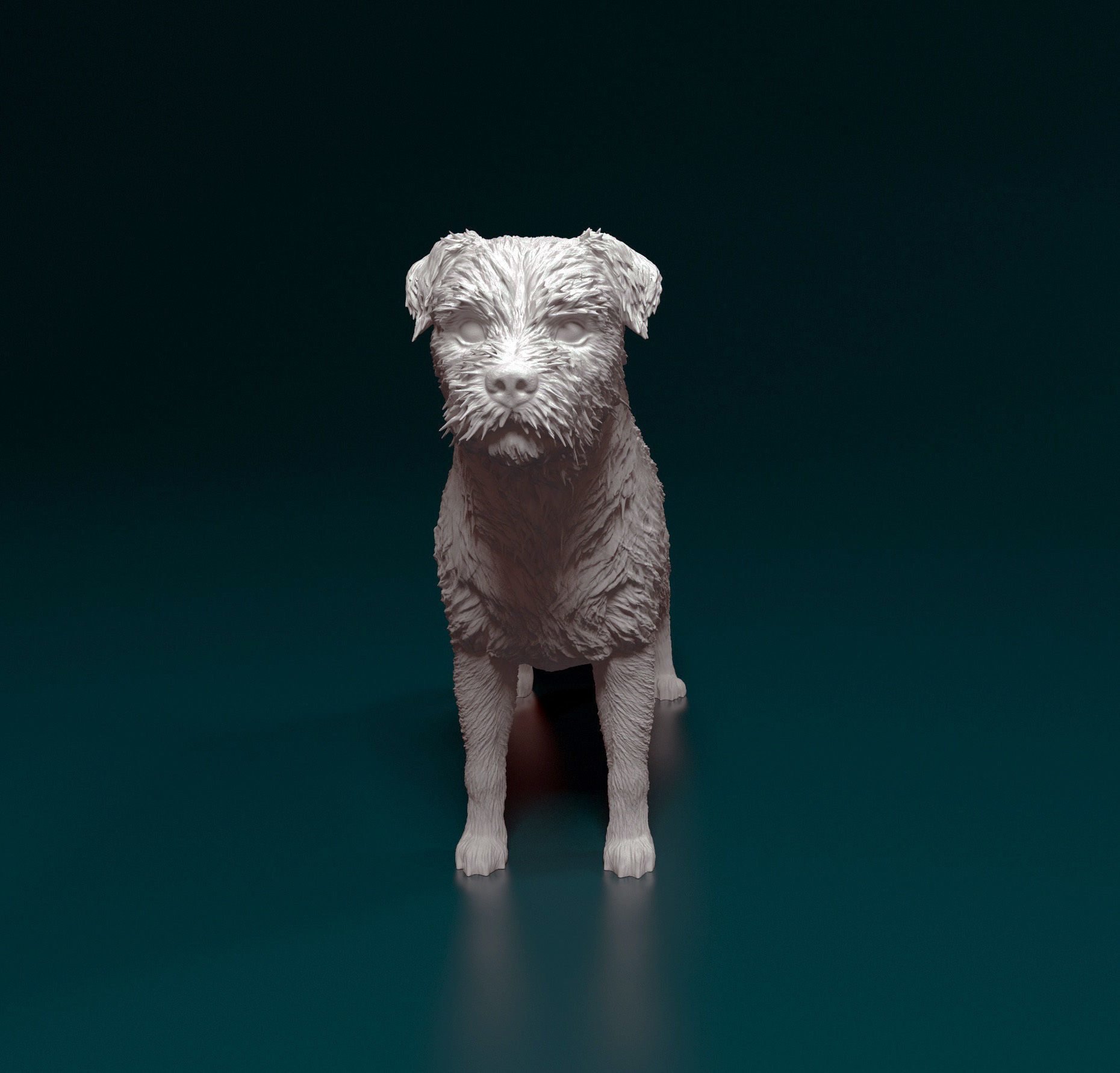Border terrier 3D print model_8