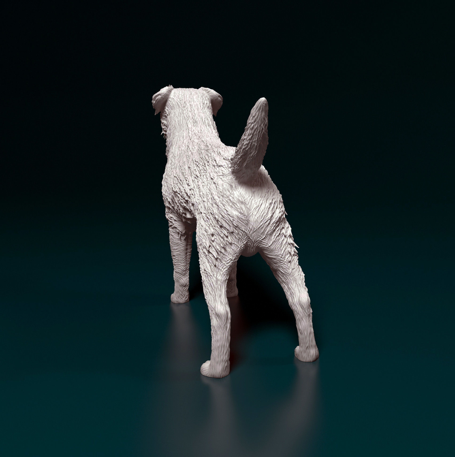 Border terrier 3D print model_4