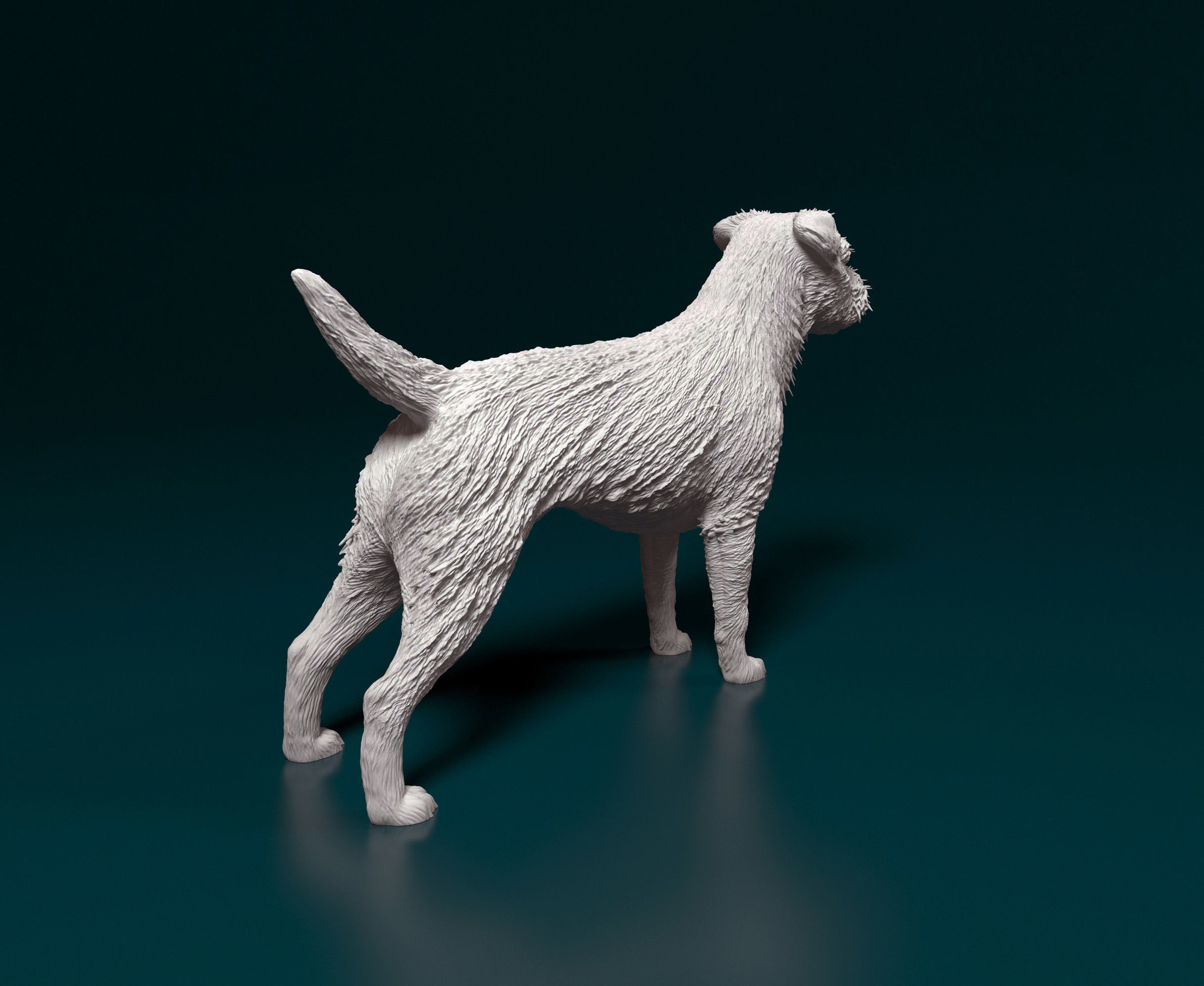 Border terrier 3D print model_3