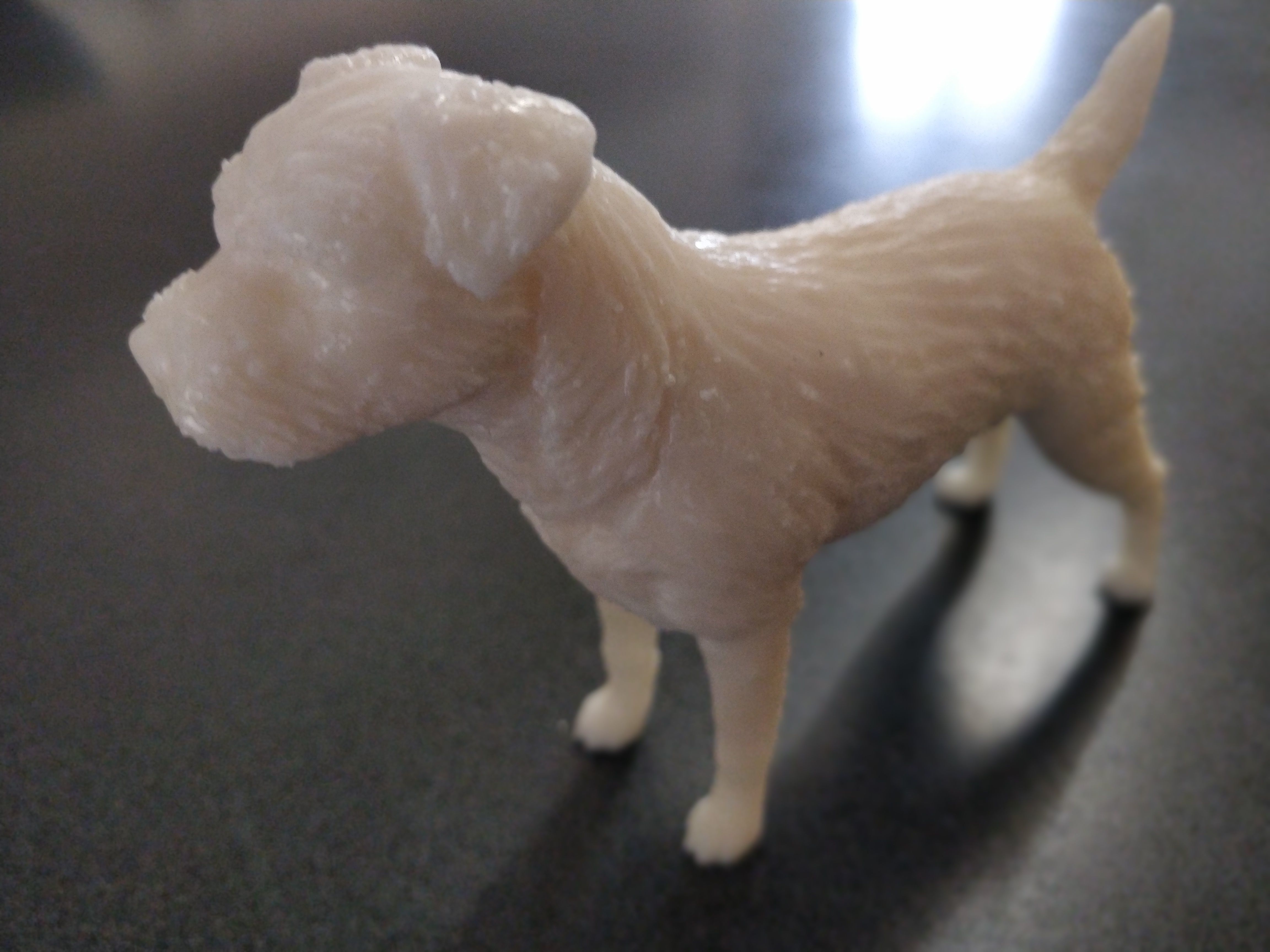 Border terrier 3D print model_11