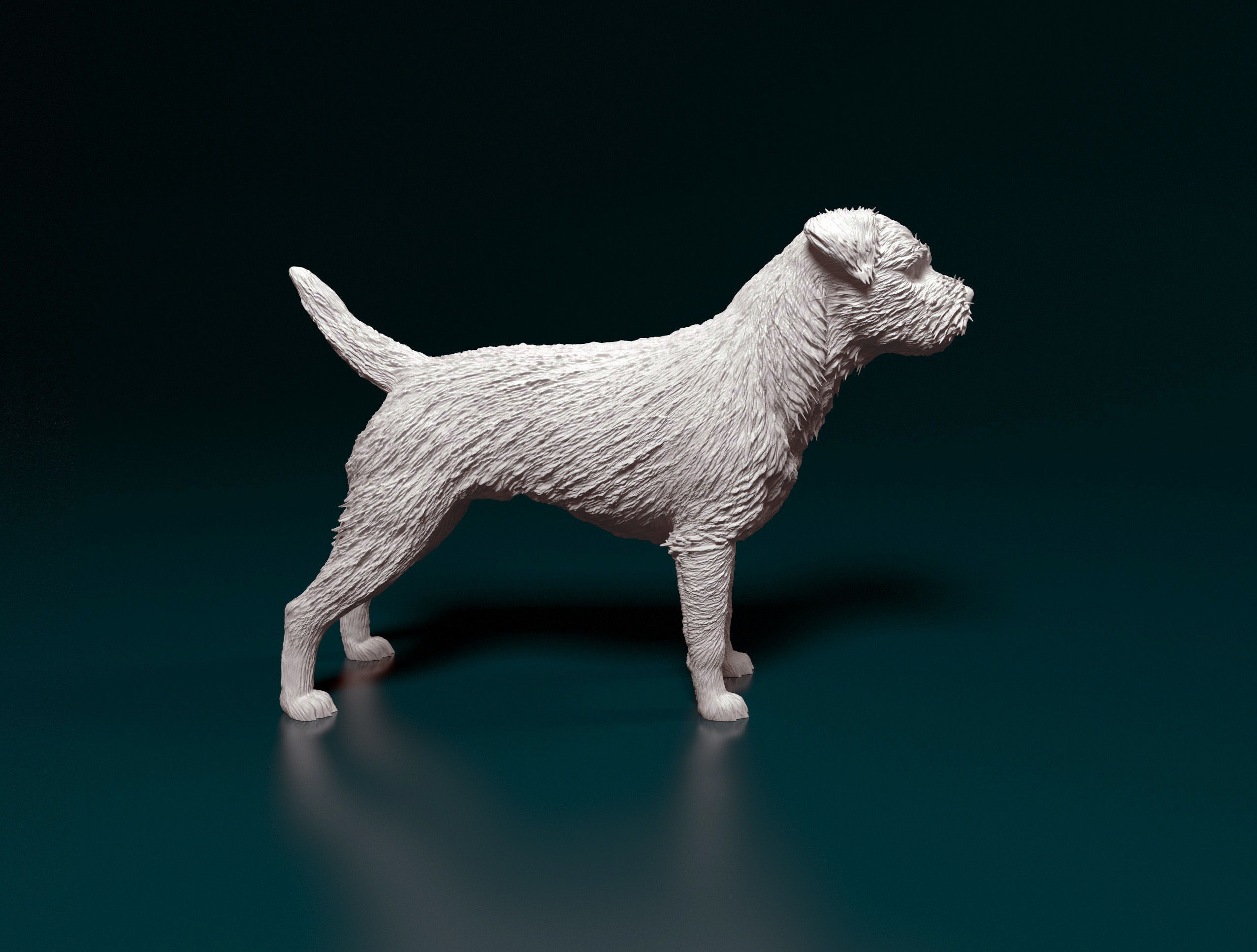 Border terrier 3D print model_2