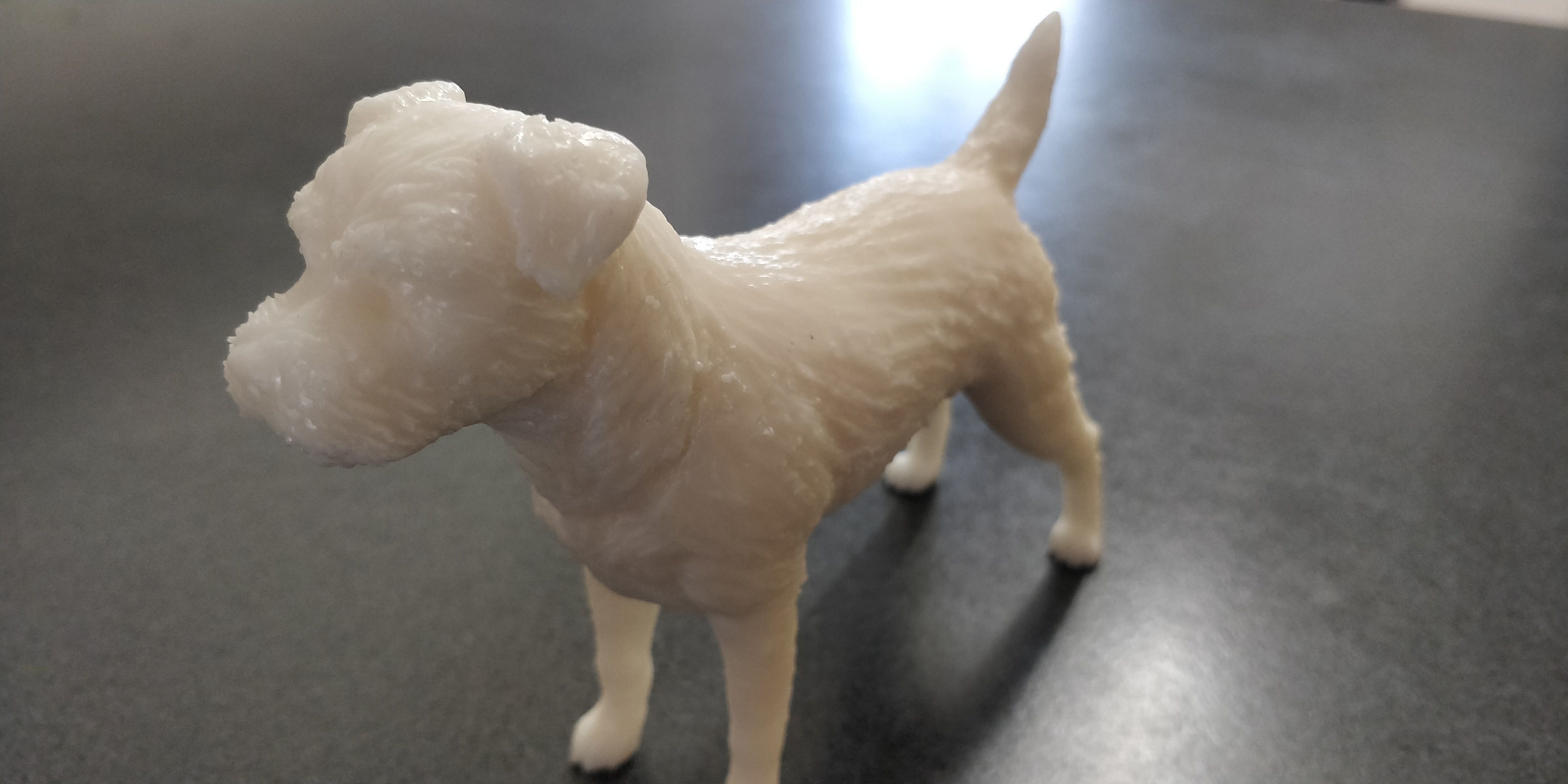 Border terrier 3D print model_12