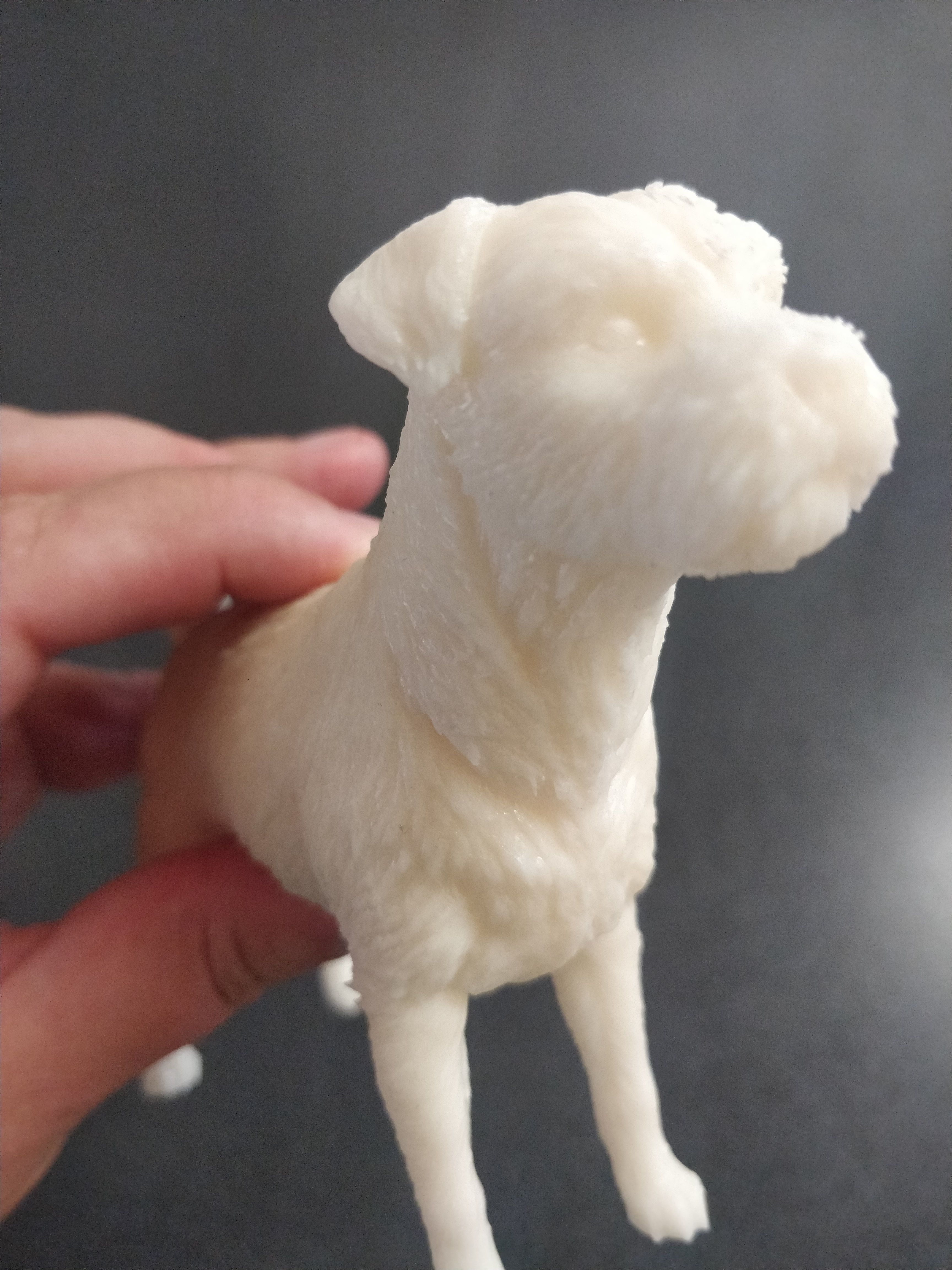 Border terrier 3D print model_15