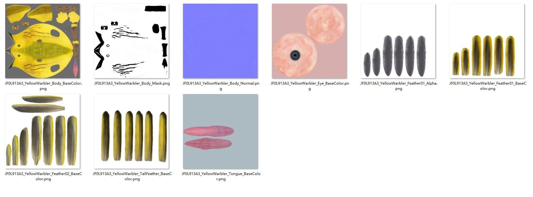 Yellow Warbler Animated VFX Grace 3D model_24