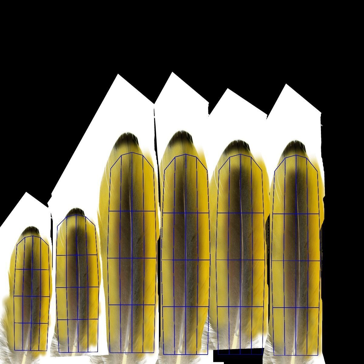 Yellow Warbler Animated VFX Grace 3D model_27