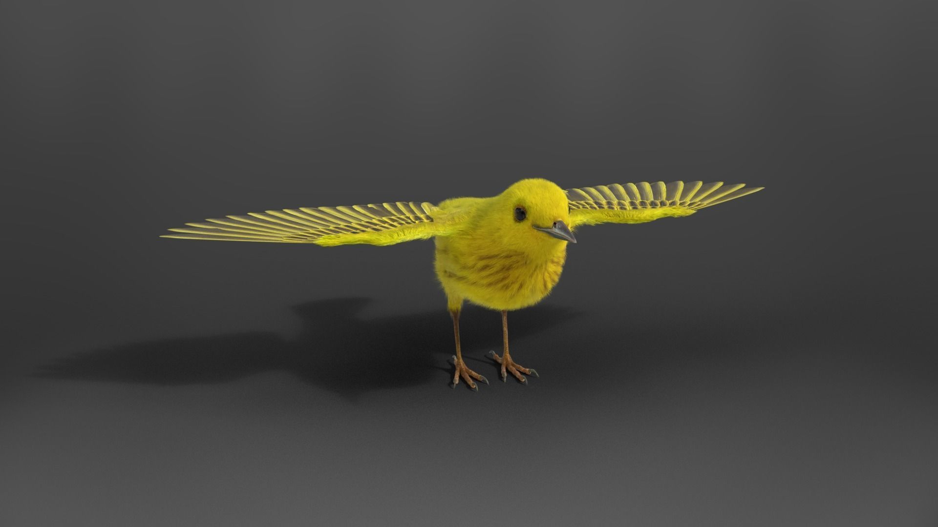 Yellow Warbler Animated VFX Grace 3D model_13