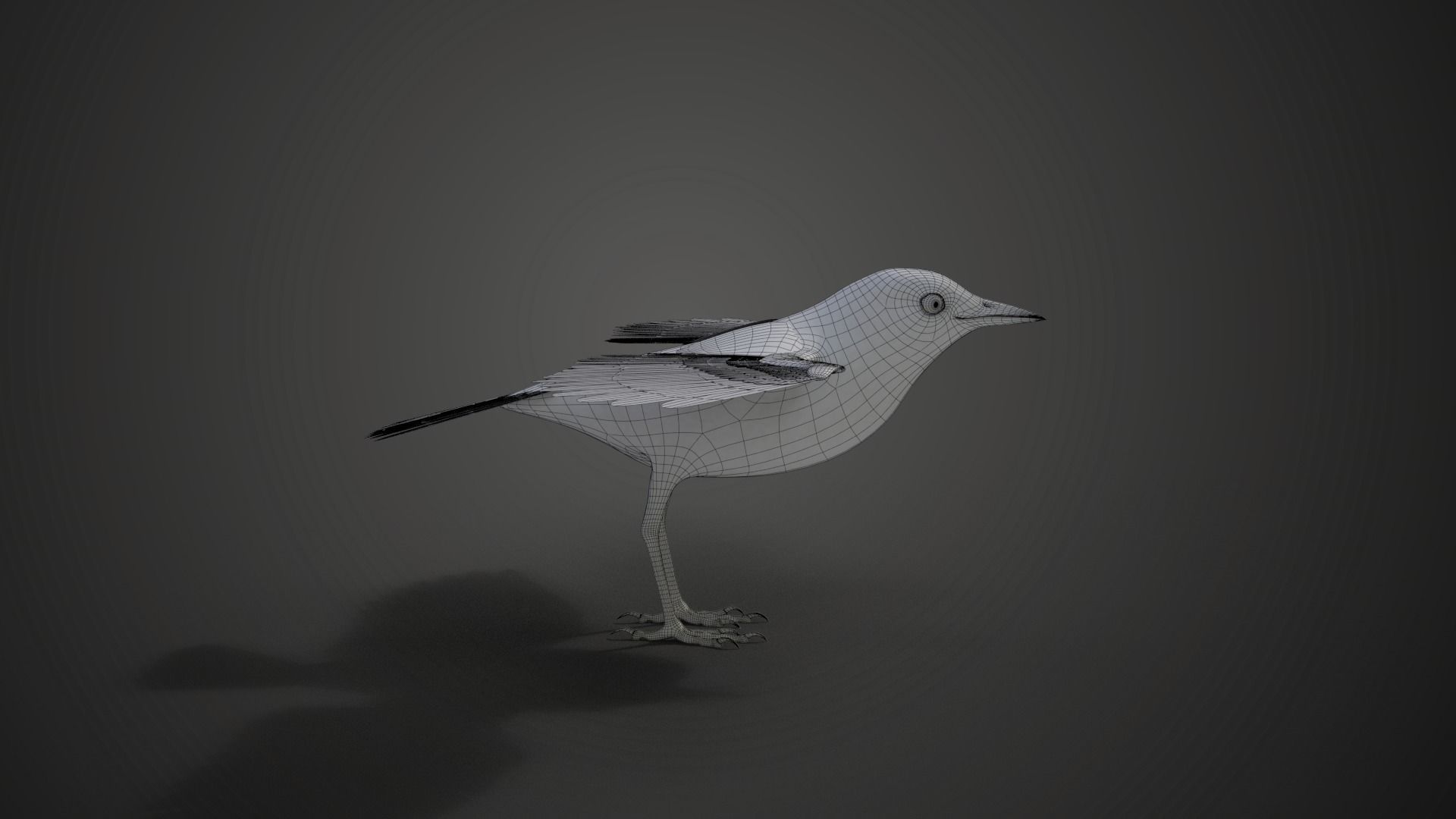 Yellow Warbler Animated VFX Grace 3D model_20