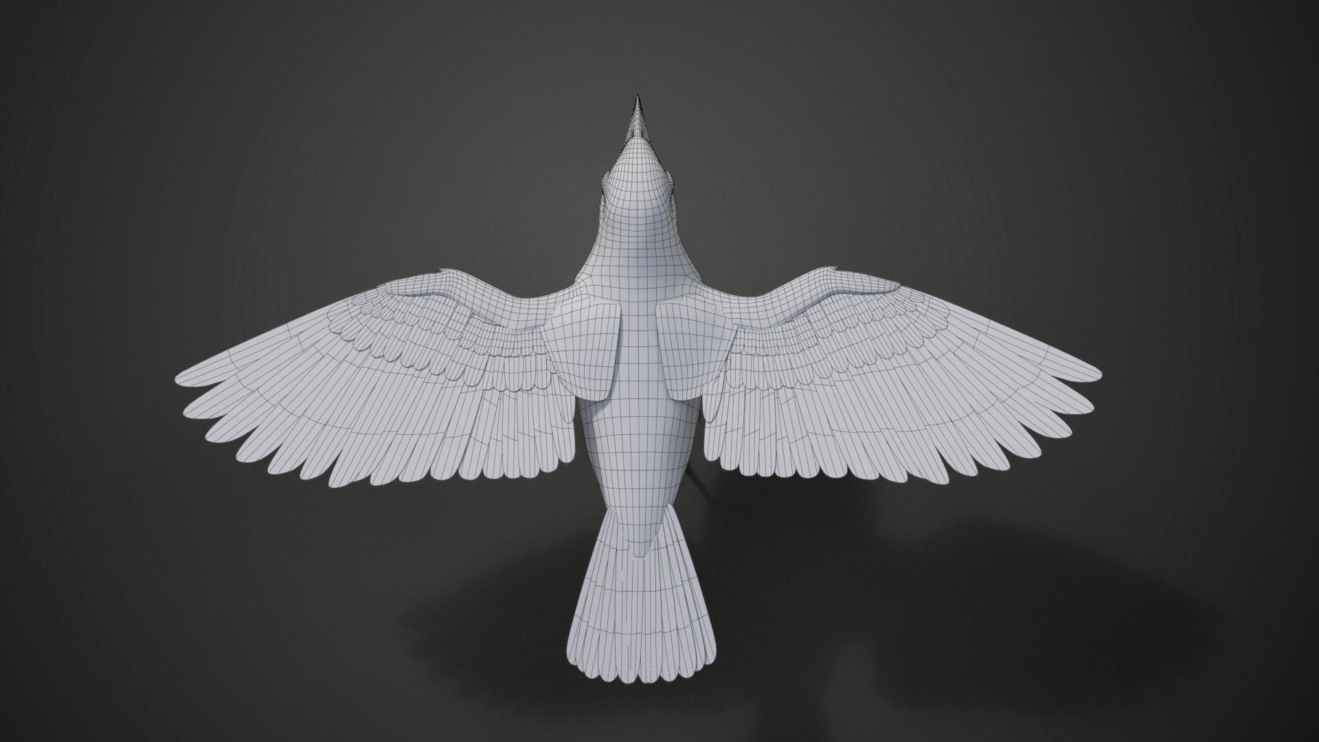 Yellow Warbler Animated VFX Grace 3D model_21