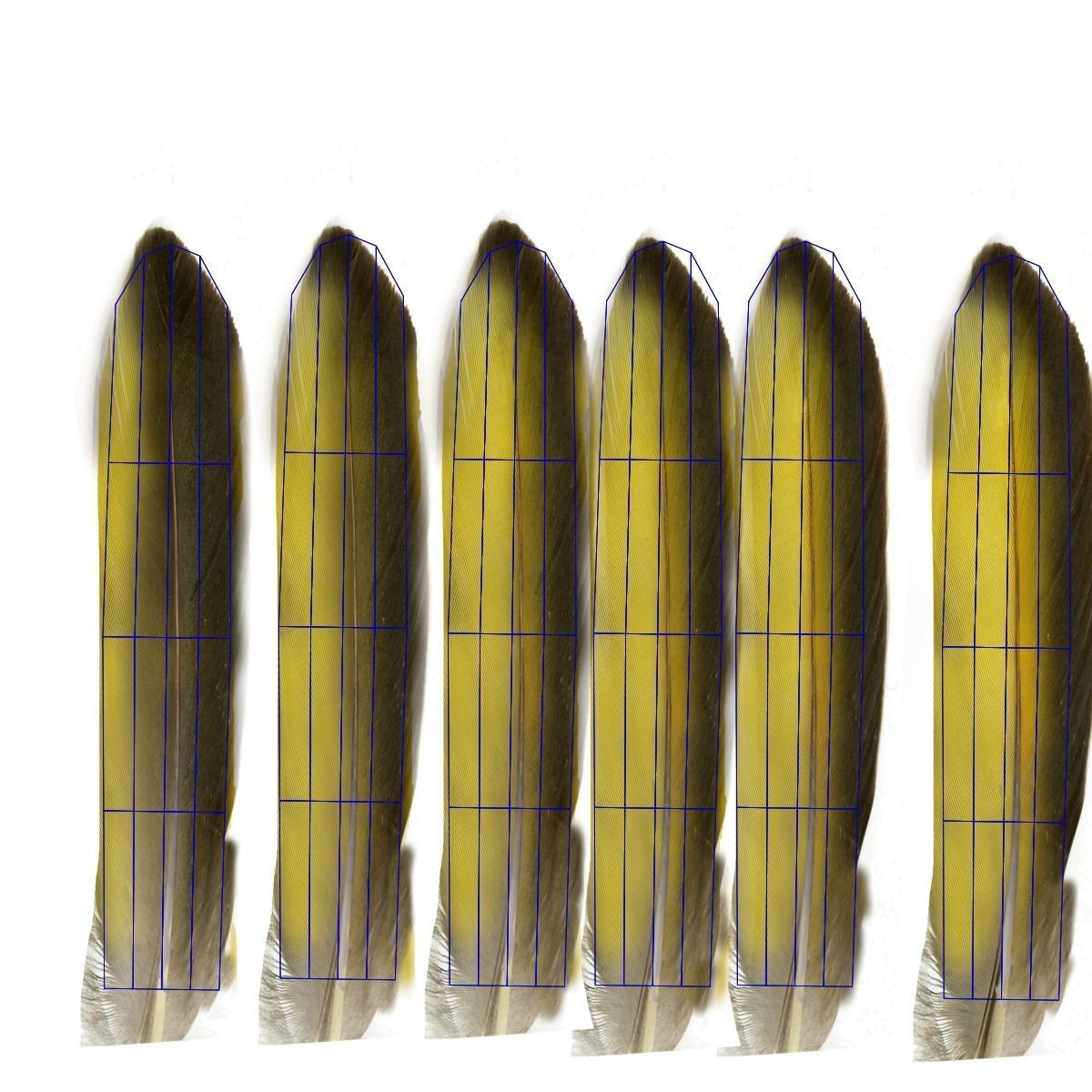 Yellow Warbler Animated VFX Grace 3D model_28