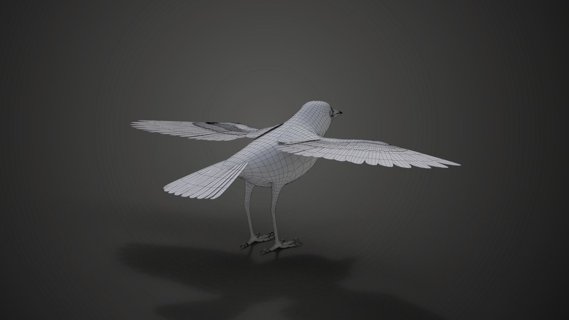Yellow Warbler Animated VFX Grace 3D model_22