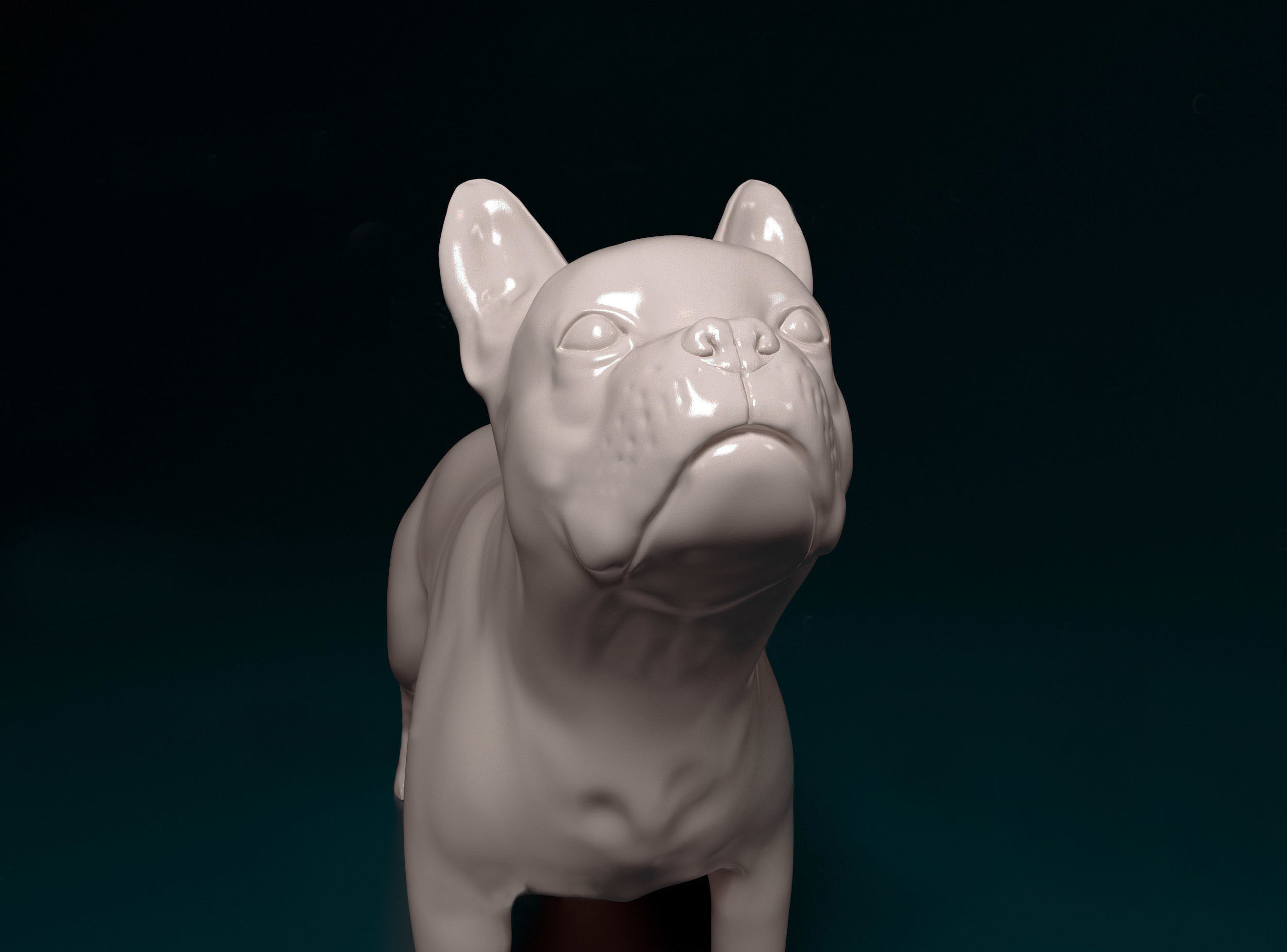 Boston terrier  3D print model_2