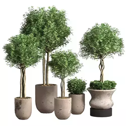 Indoor Plants in damaged plaster Pot - set 01