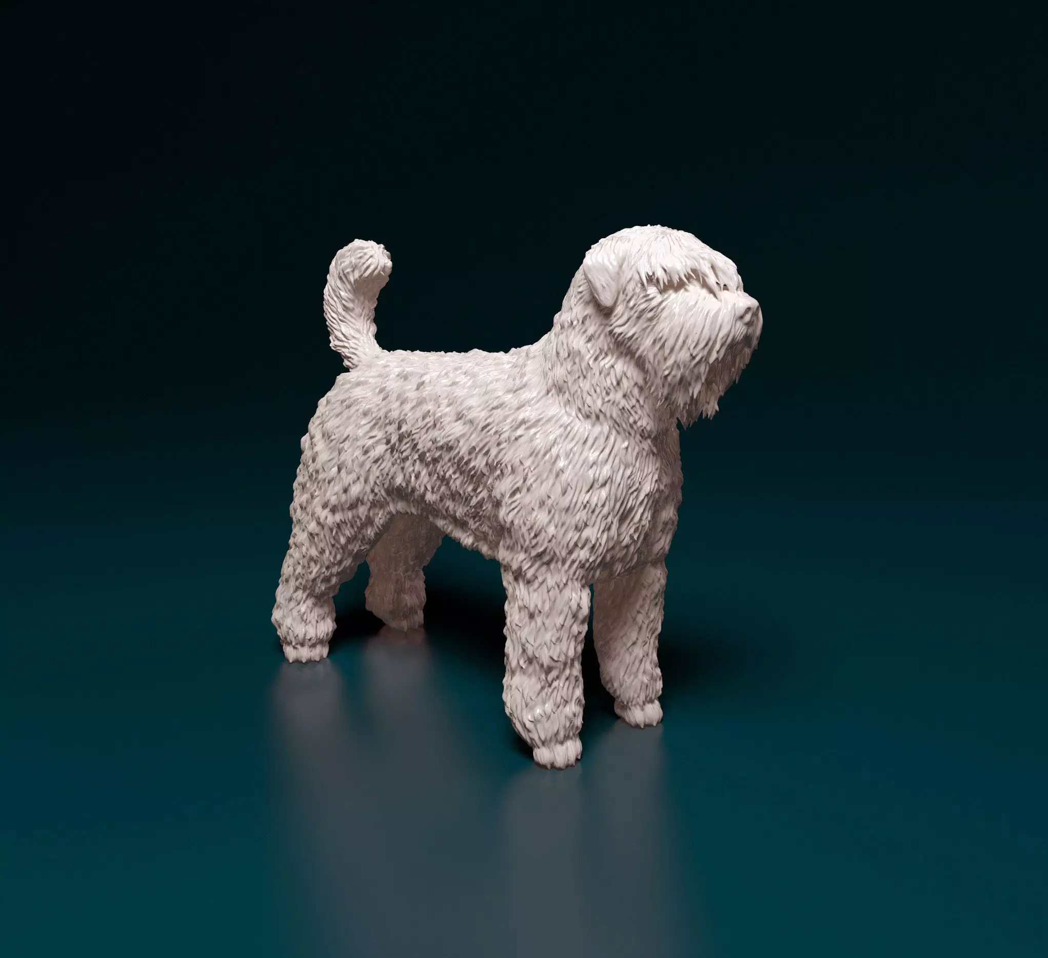 Bouvier des Flandres 3D print model_0