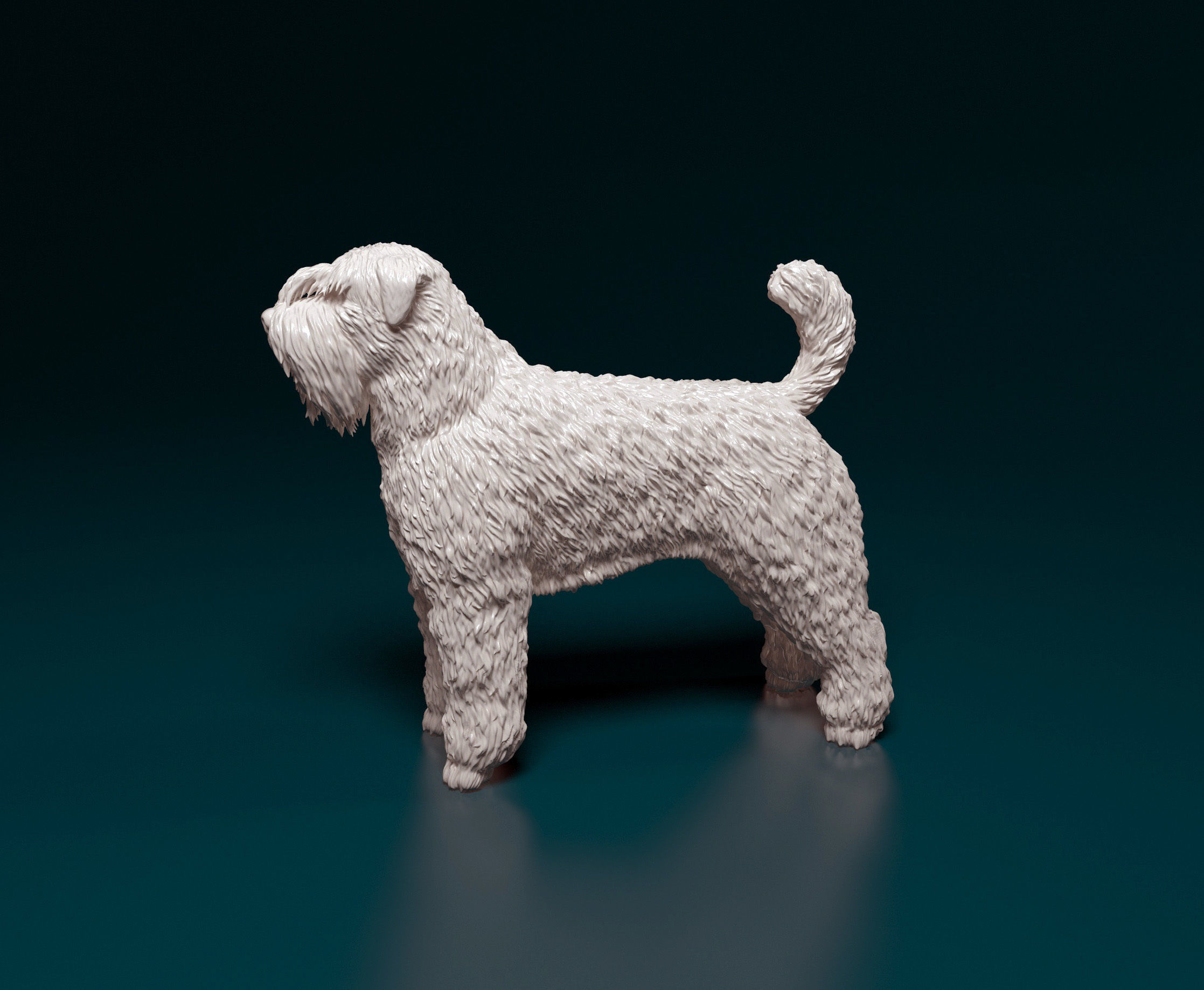 Bouvier des Flandres 3D print model_8