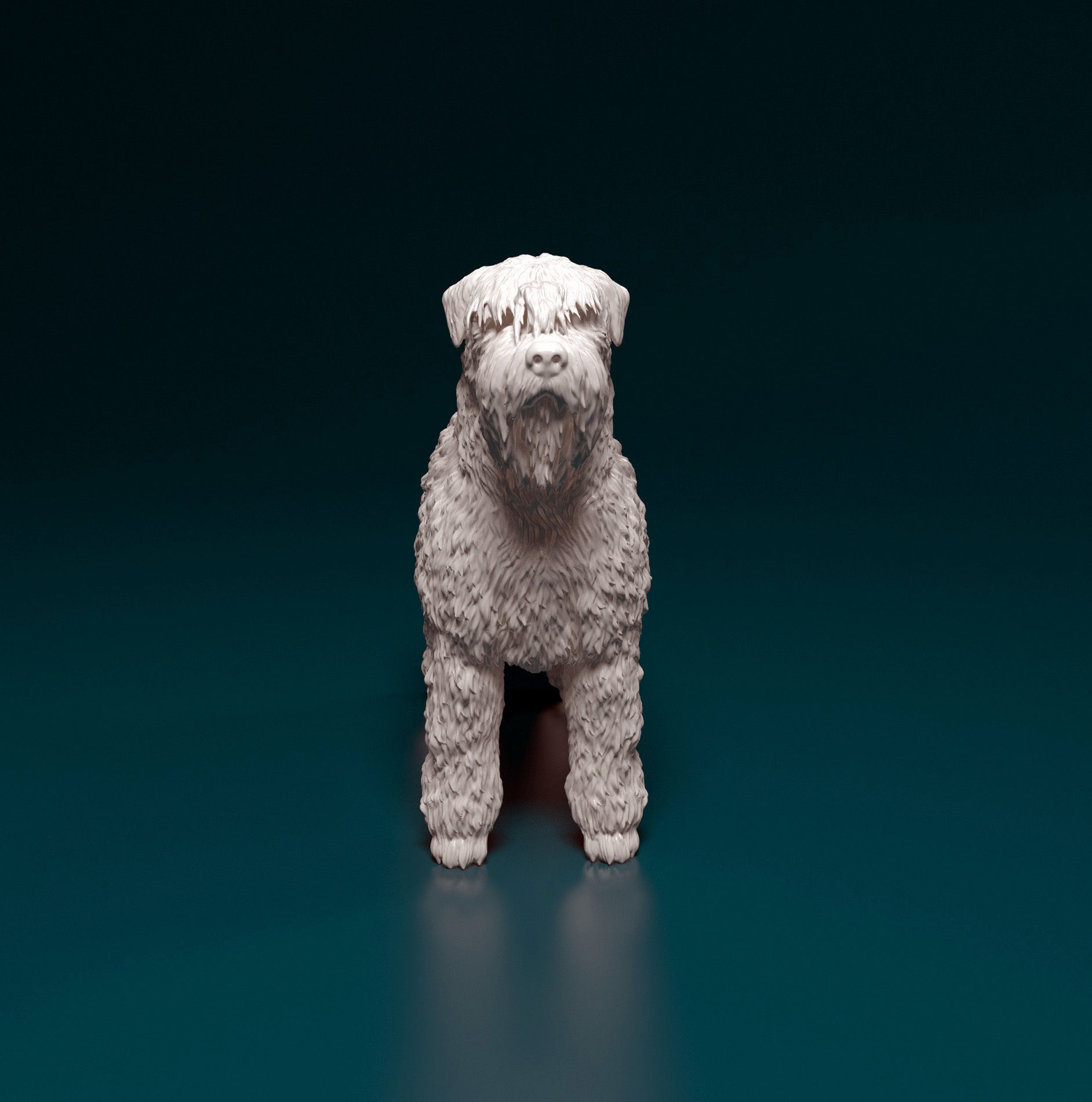 Bouvier des Flandres 3D print model_7