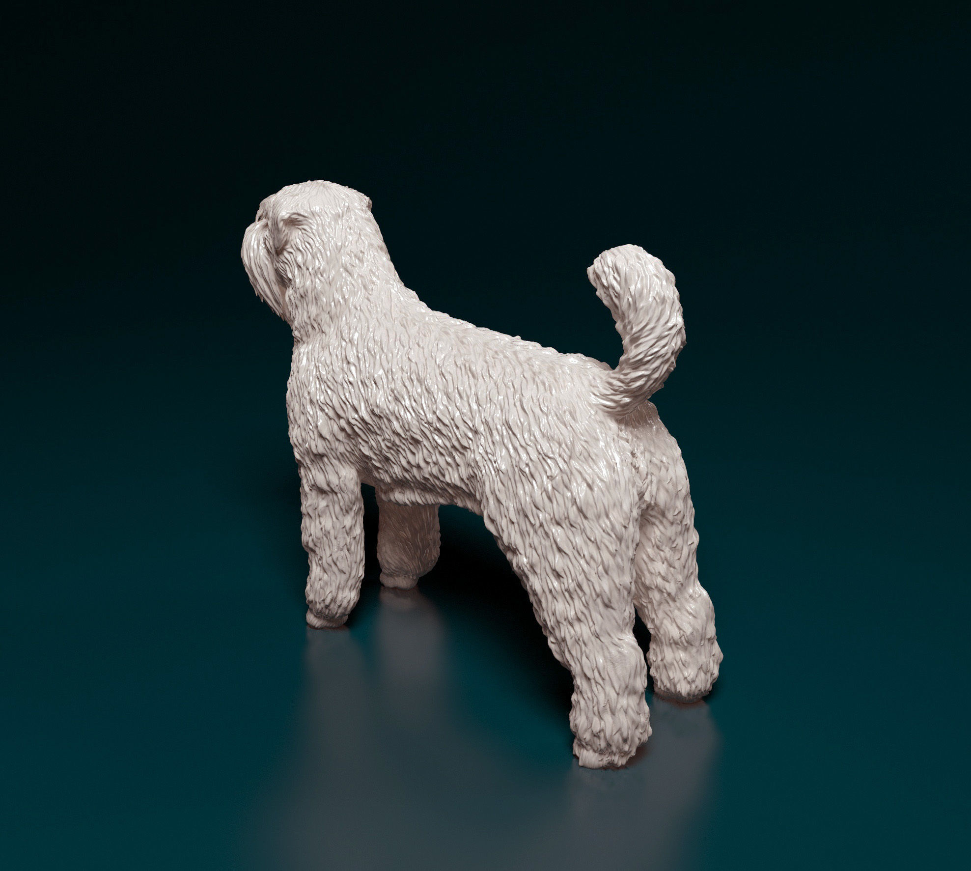 Bouvier des Flandres 3D print model_6