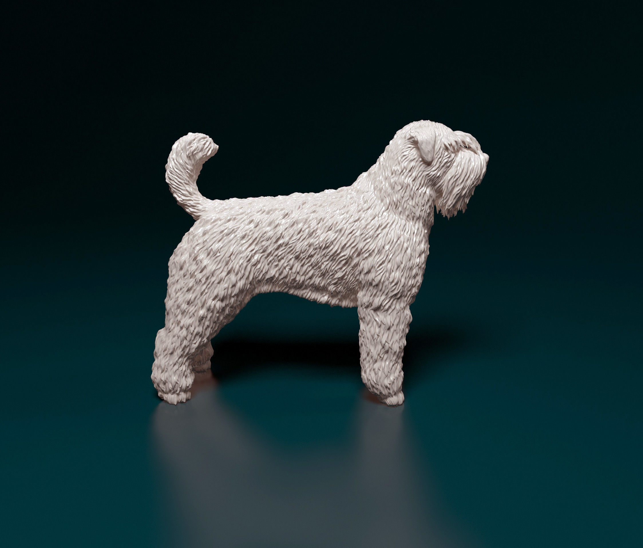 Bouvier des Flandres 3D print model_3
