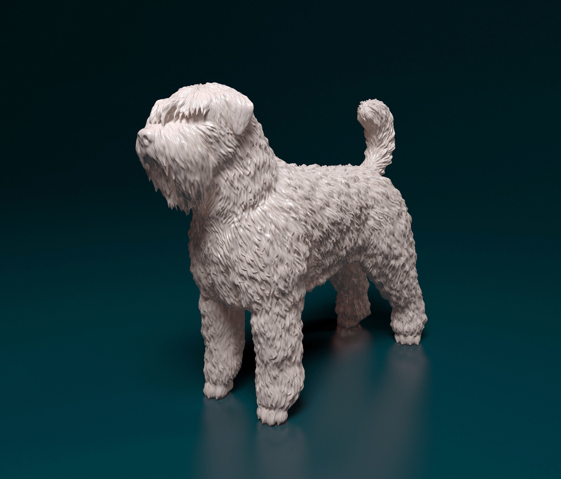Bouvier des Flandres 3D print model_9