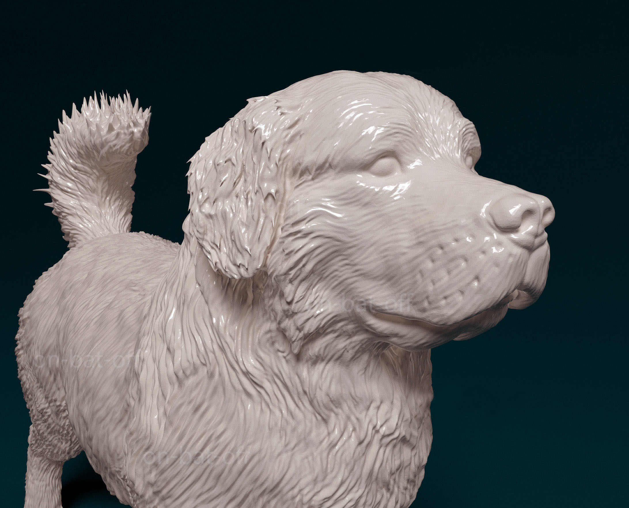 Bovaro del bernese 3D print model_6