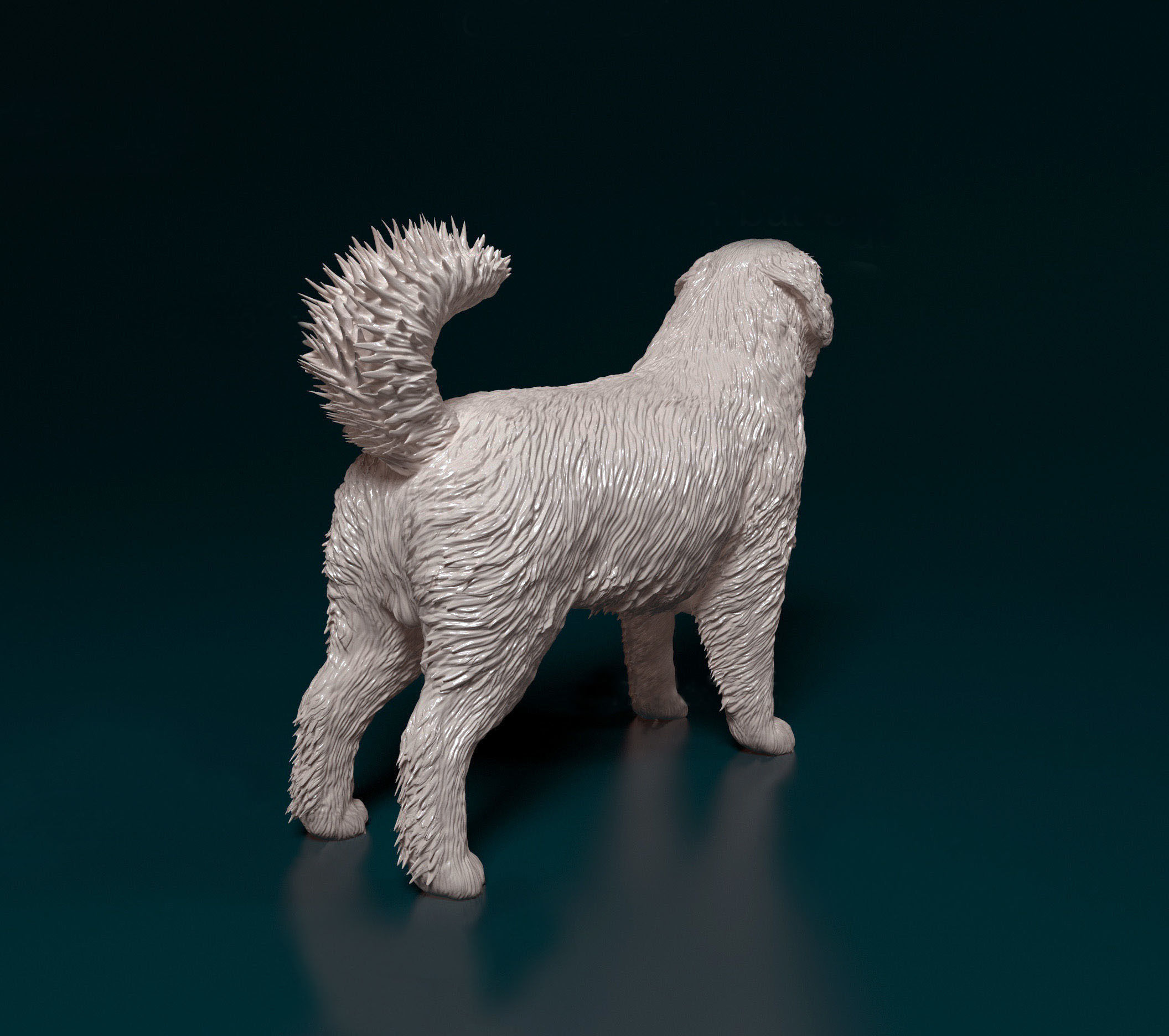 Bovaro del bernese 3D print model_2