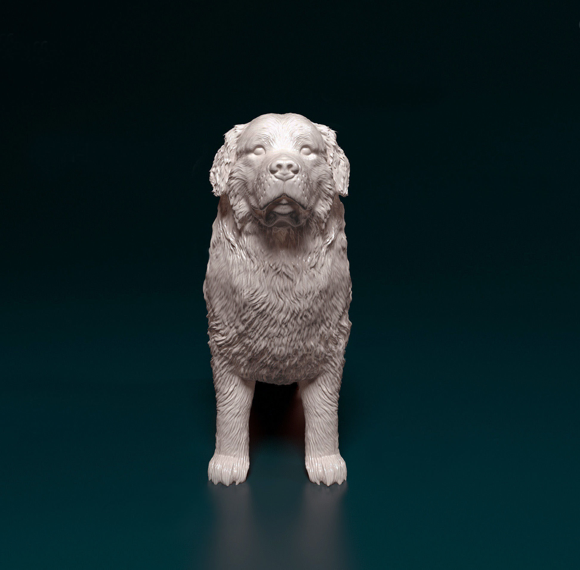 Bovaro del bernese 3D print model_5