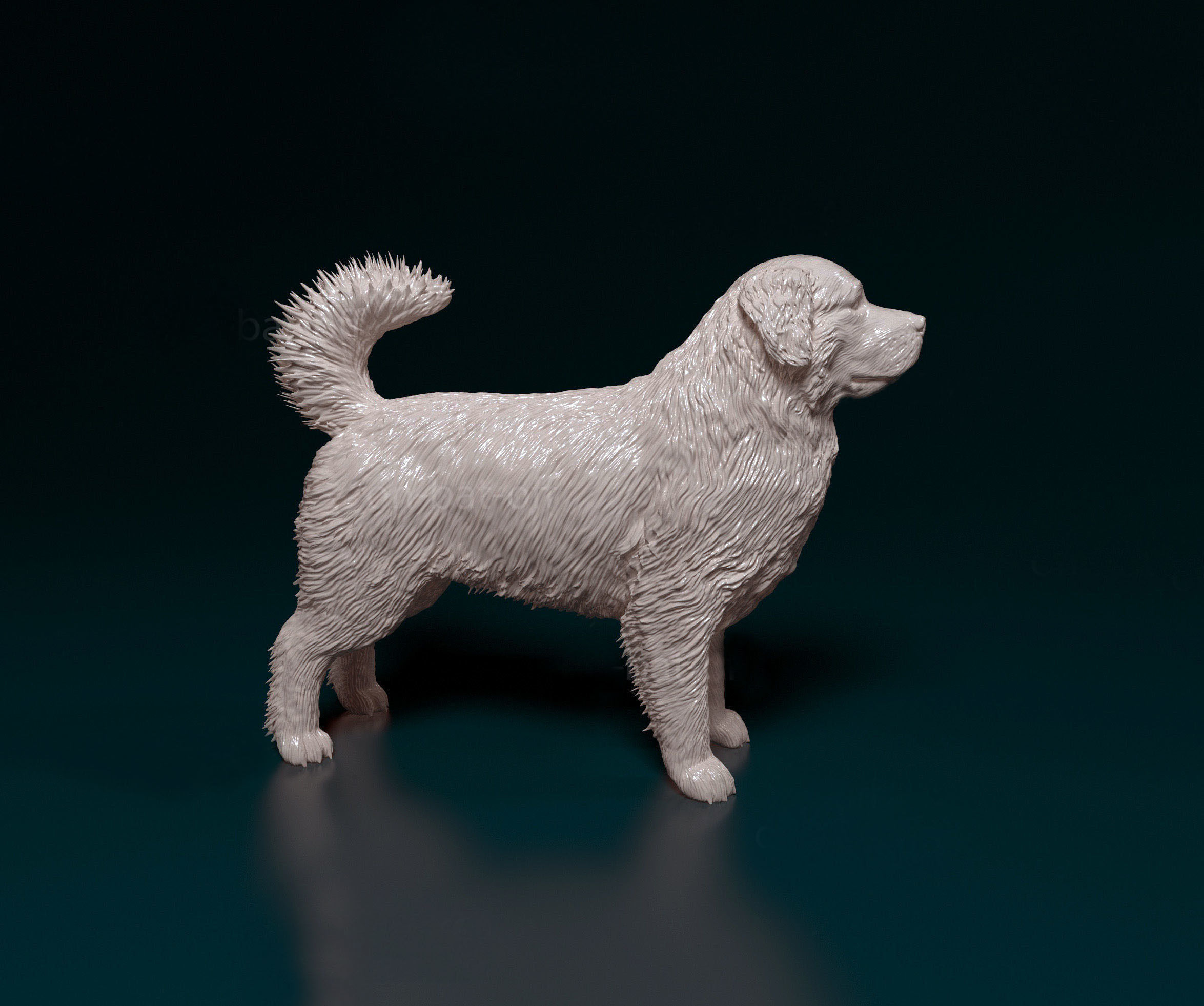 Bovaro del bernese 3D print model_1