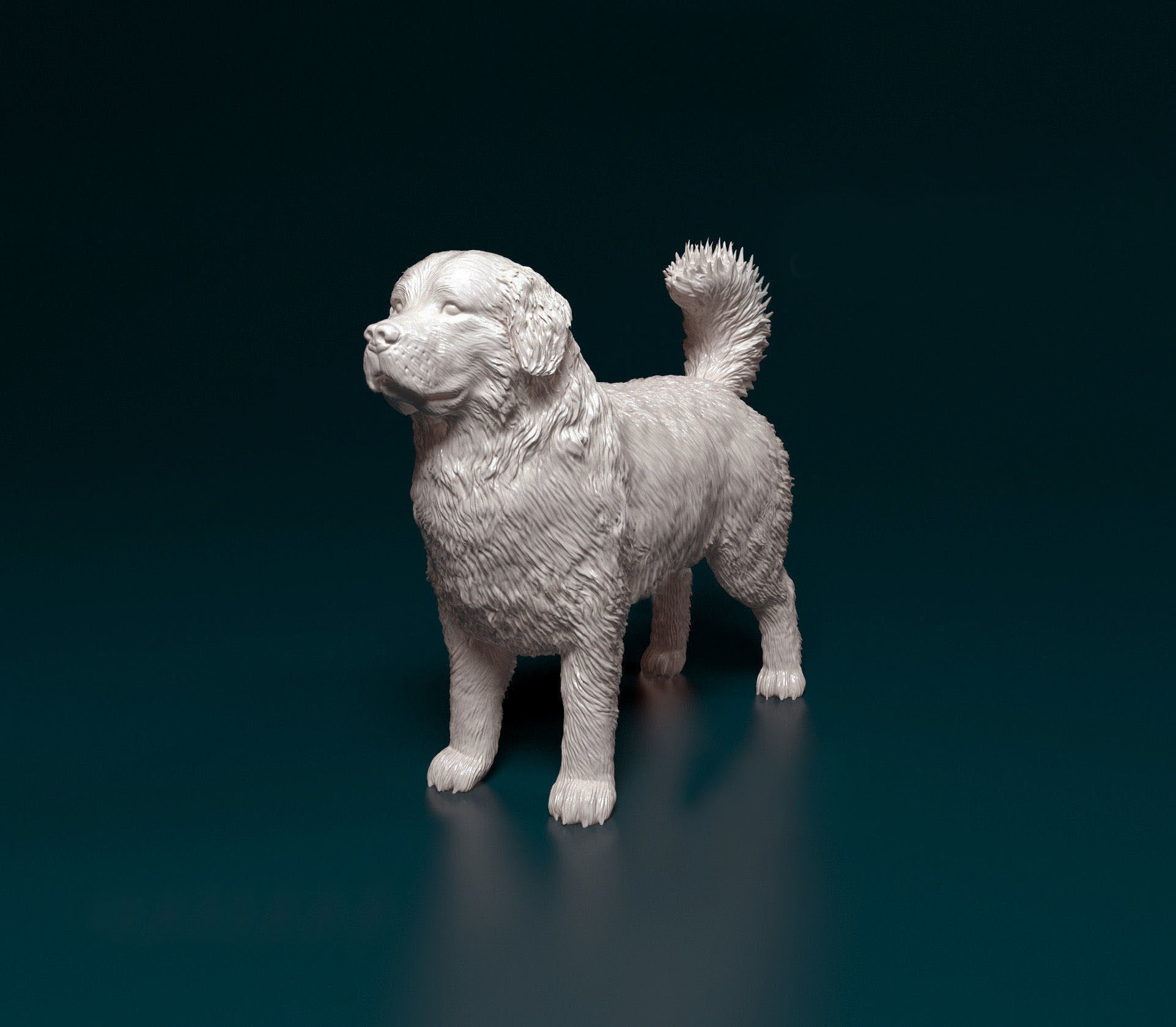 Bovaro del bernese 3D print model_4