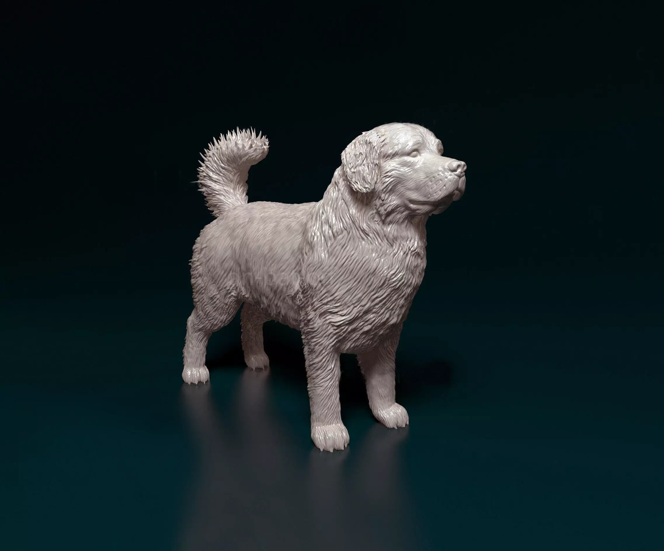 Bovaro del bernese 3D print model_0