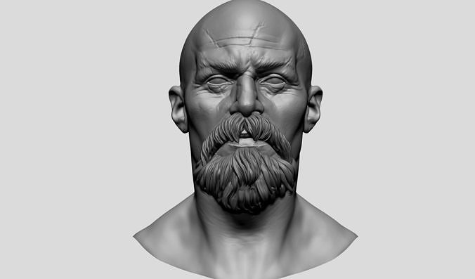 Male Head v8 3D model