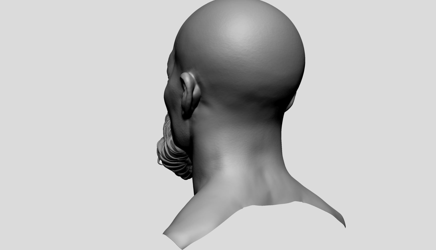 Male Head v8 3D model_5