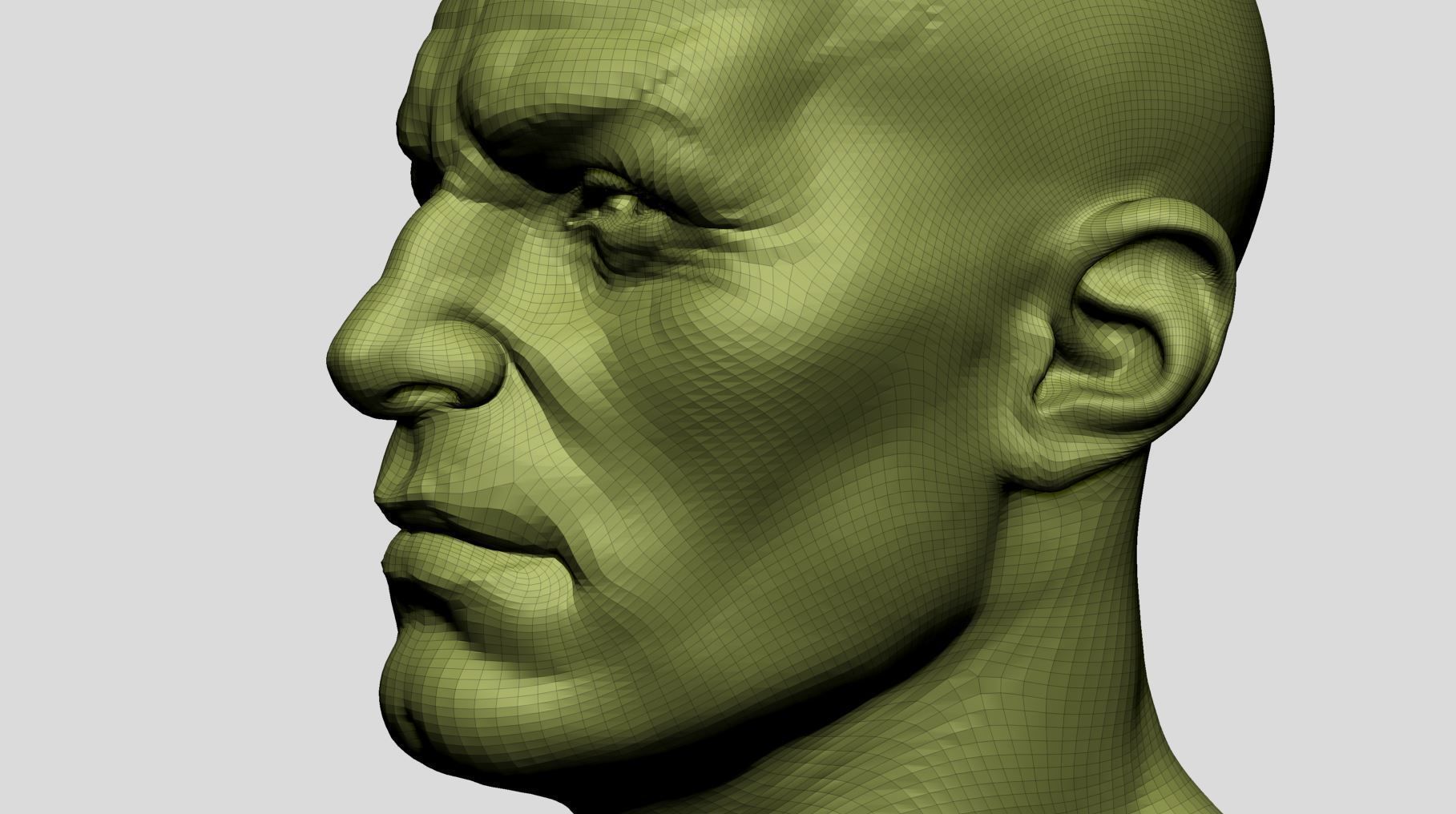 Male Head v8 3D model_13