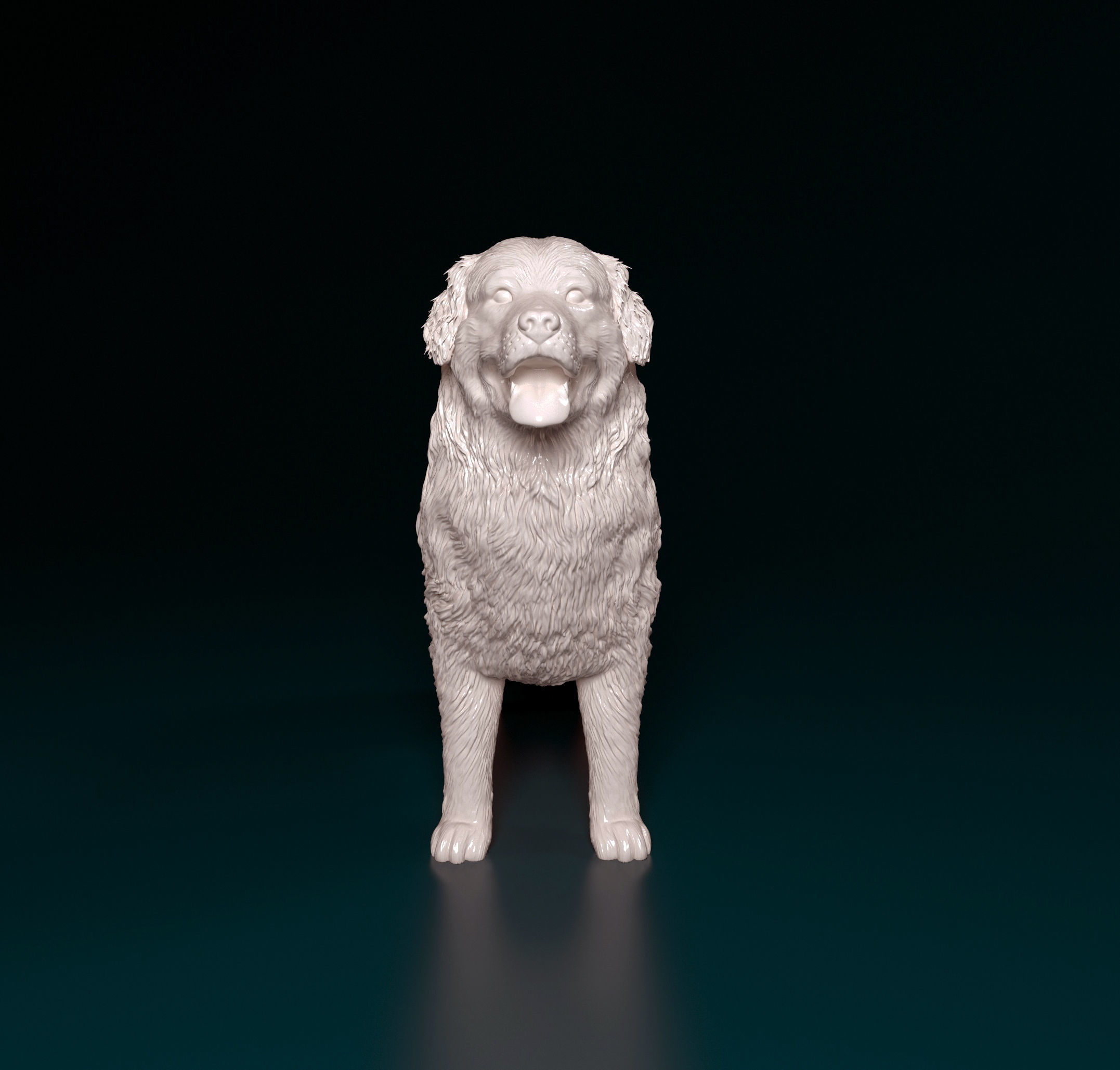 Bovaro del bernes dog 3D print model_5