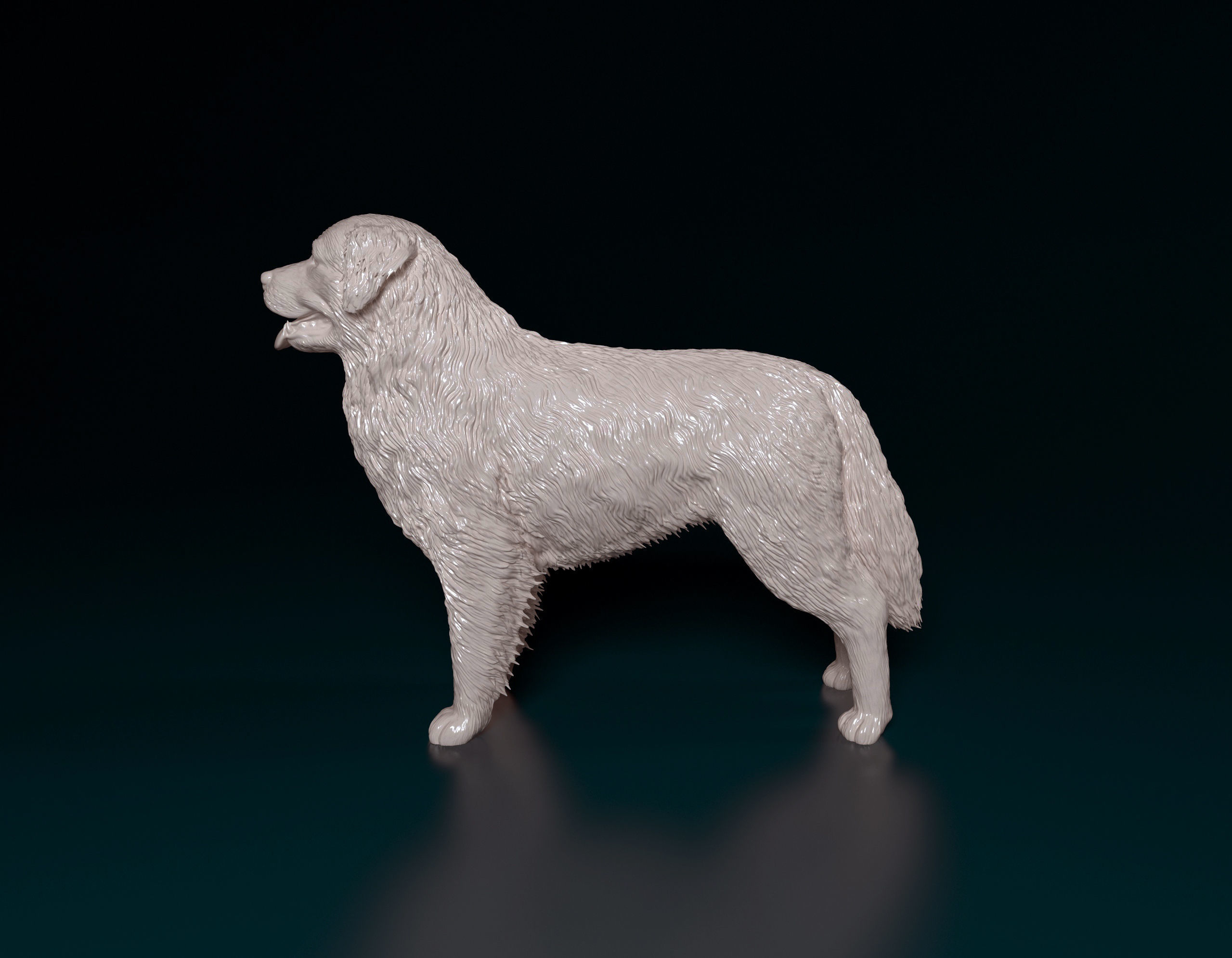 Bovaro del bernes dog 3D print model_4