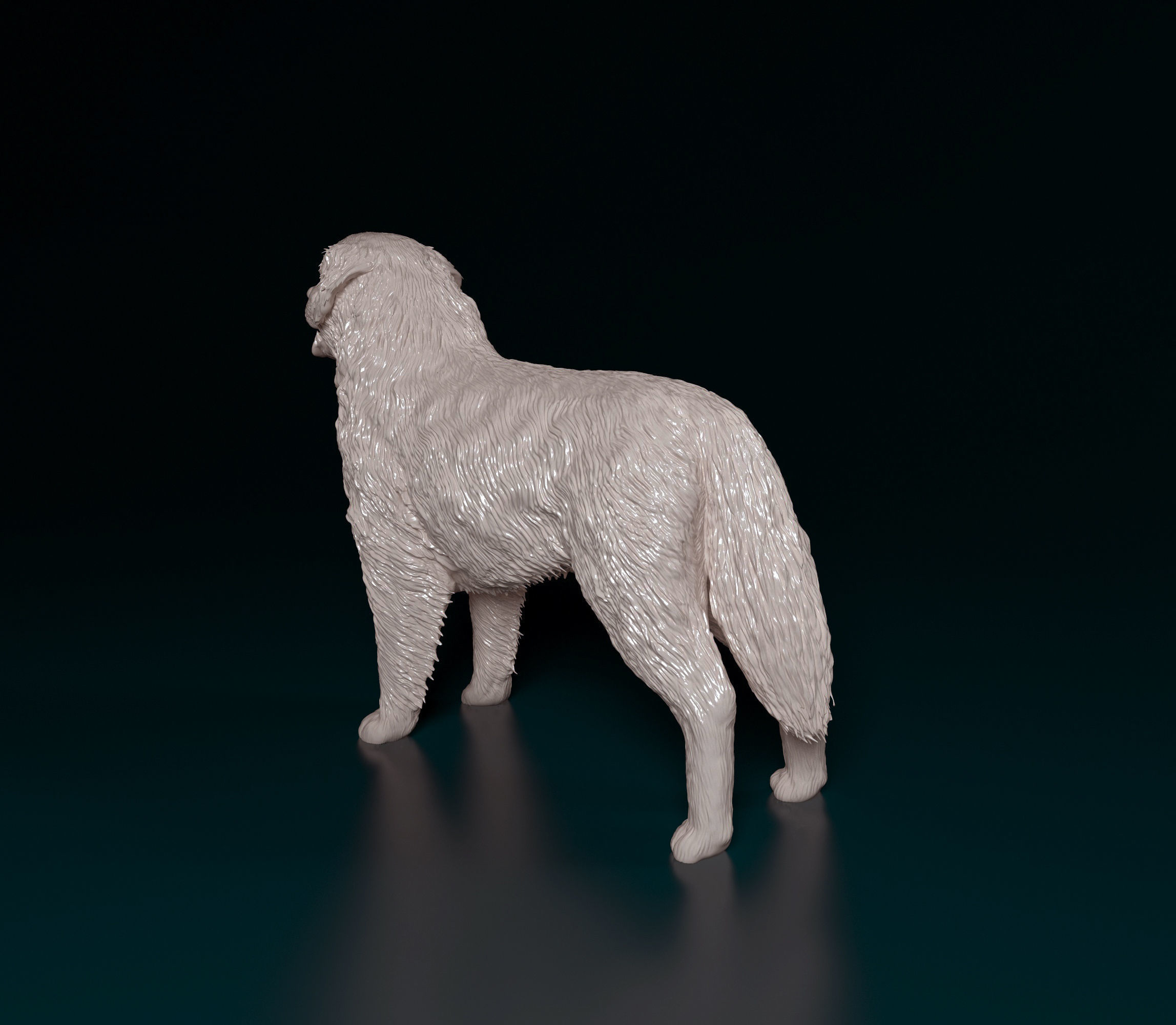 Bovaro del bernes dog 3D print model_3