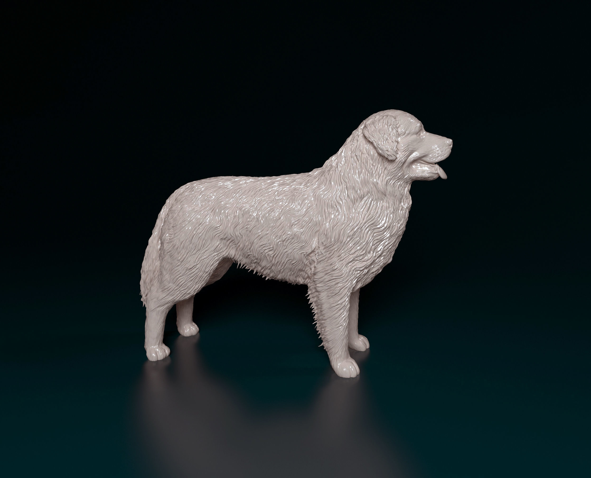 Bovaro del bernes dog 3D print model_1