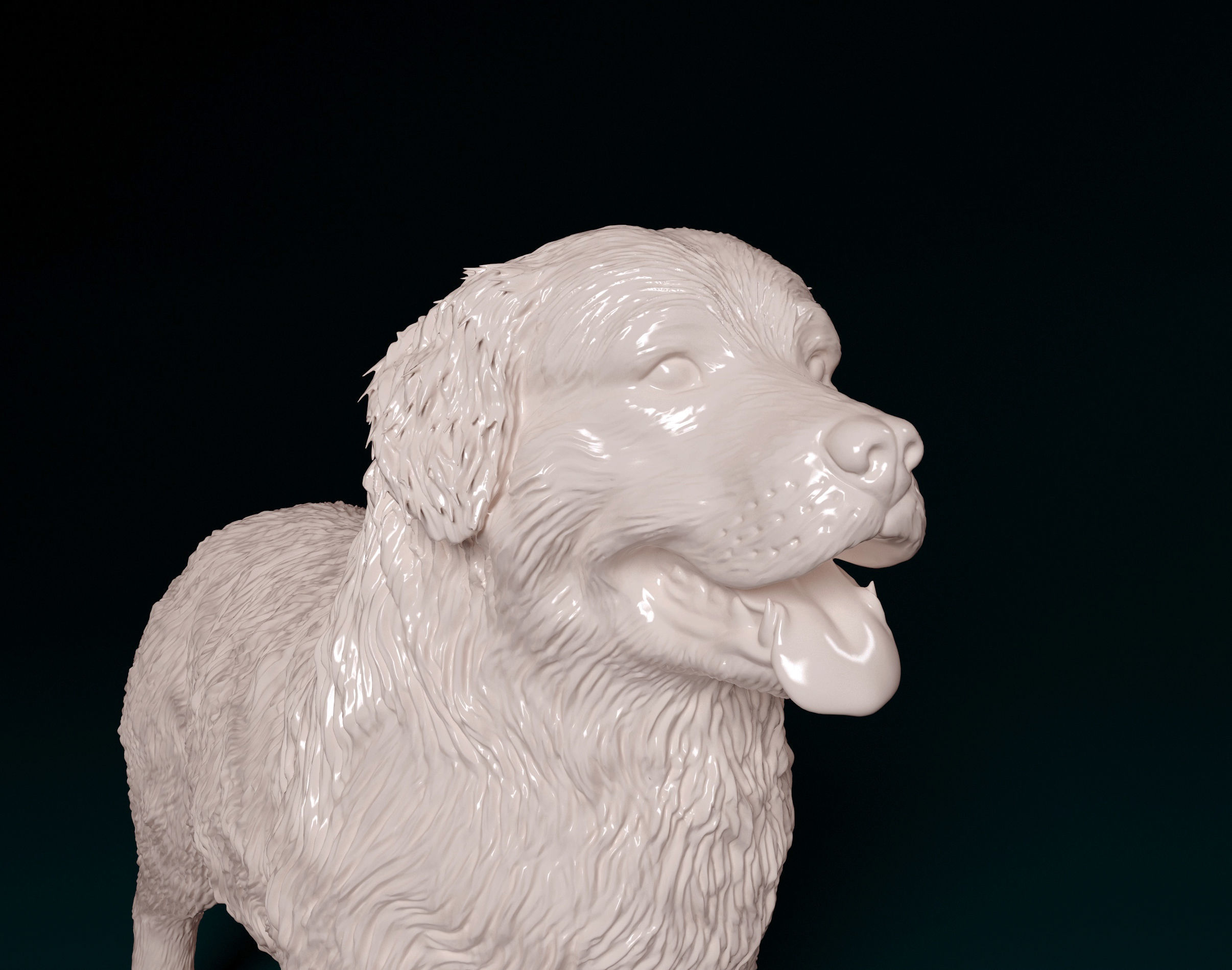 Bovaro del bernes dog 3D print model_6
