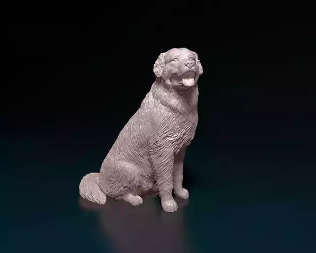 Bovaro del bernese 3D print model