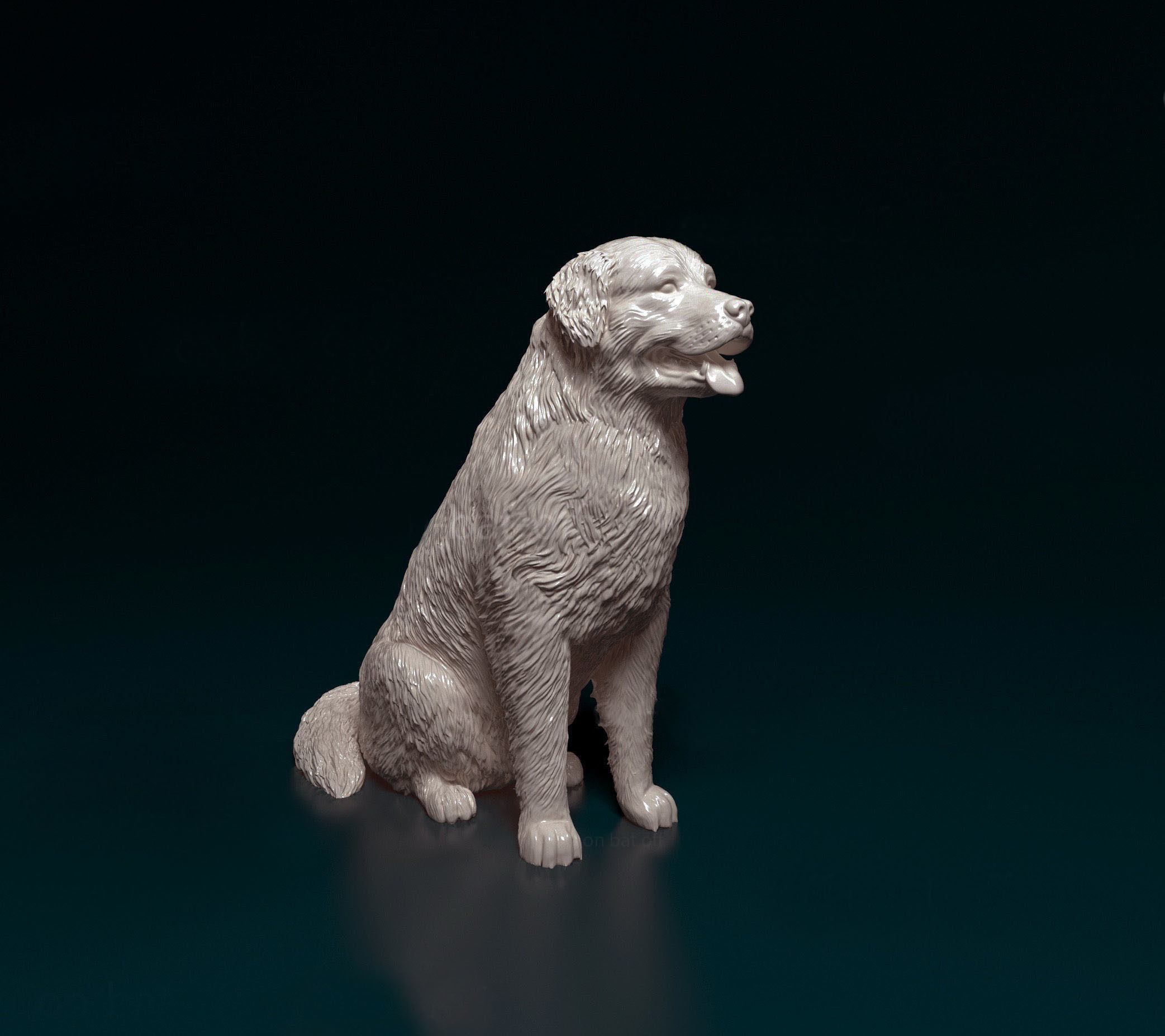 Bovaro del bernese 3D print model_4