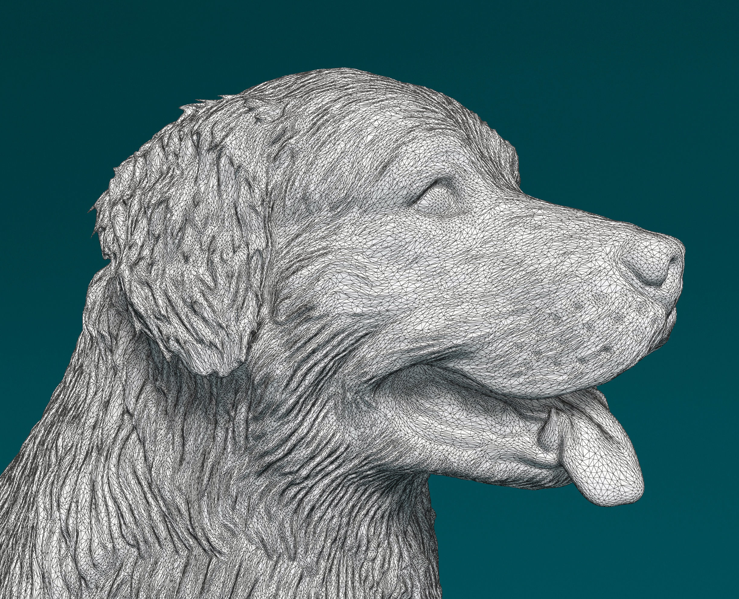 Bovaro del bernese 3D print model_5