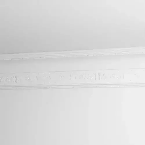 Ornamental White Crown Molding