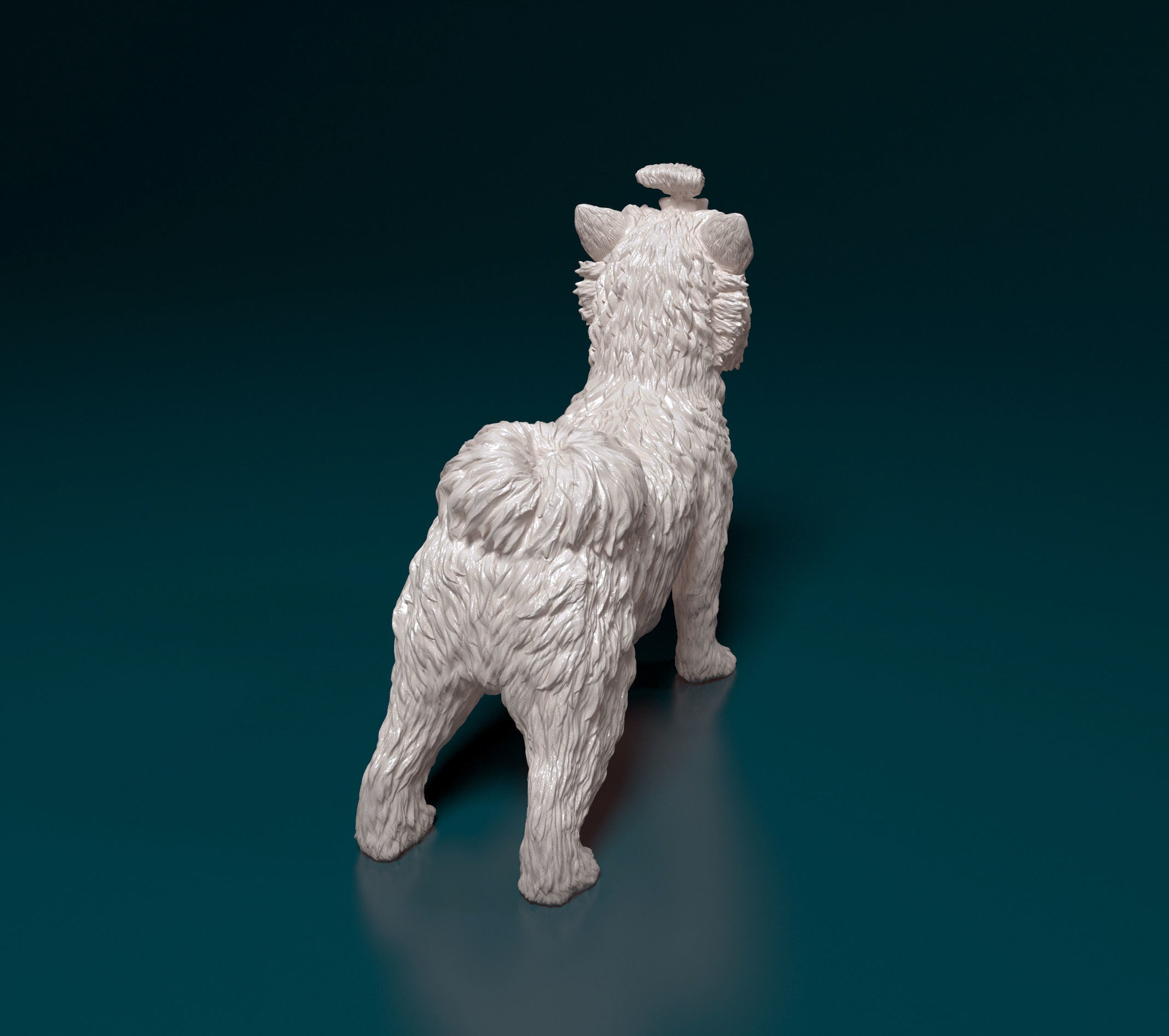 Biewer Yorkshire terrier 3D print model_3