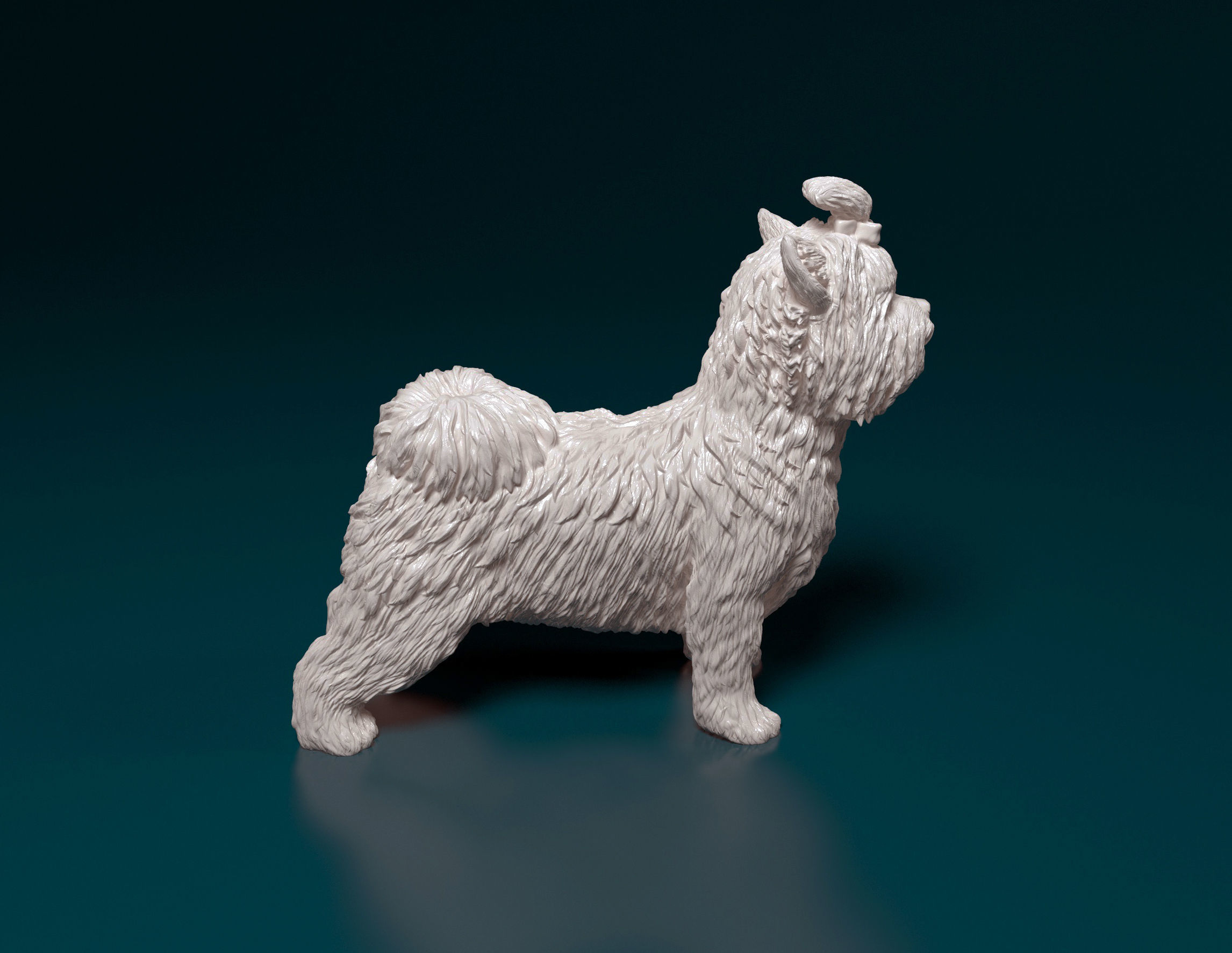 Biewer Yorkshire terrier 3D print model_1