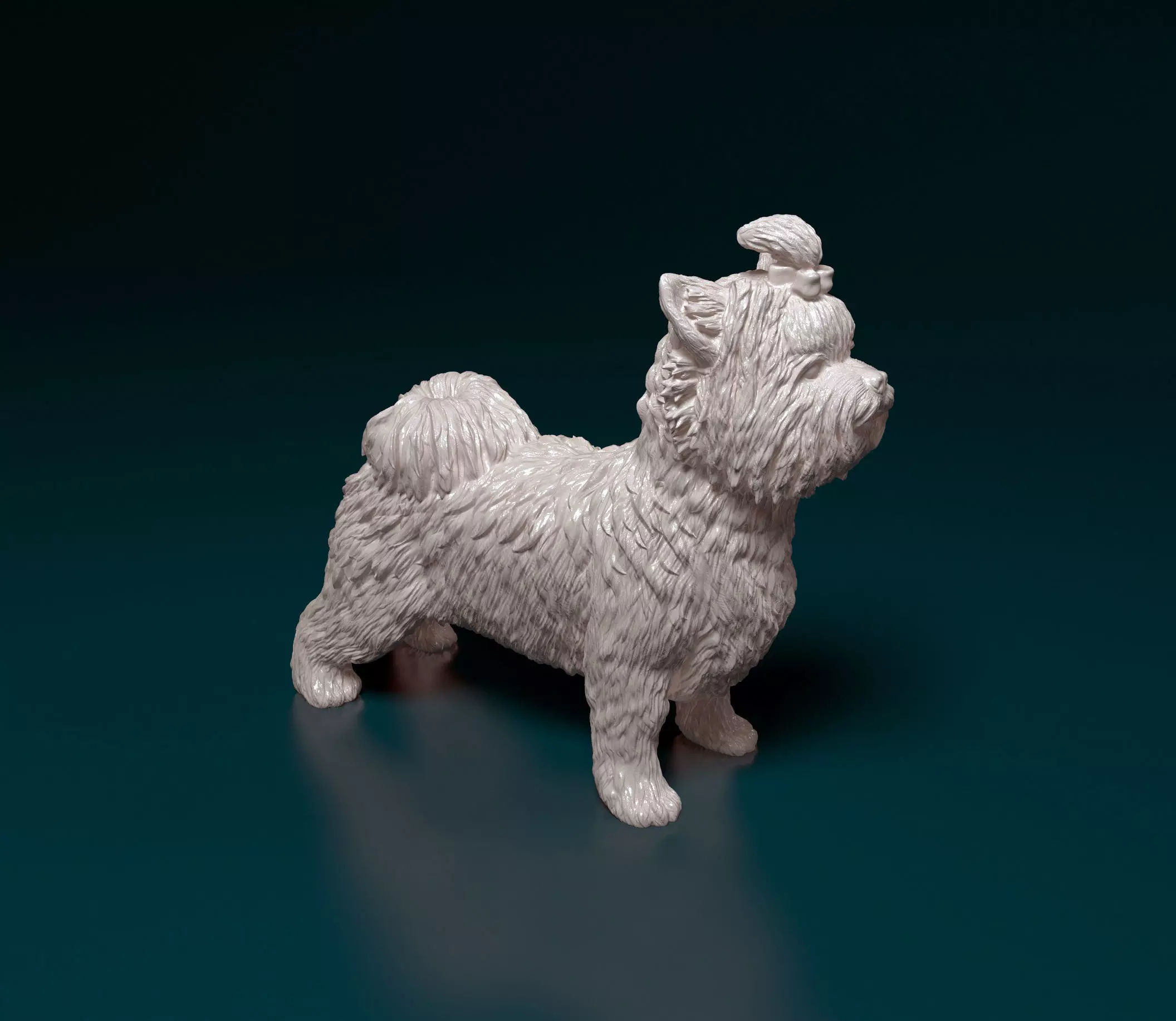 Biewer Yorkshire terrier 3D print model_0