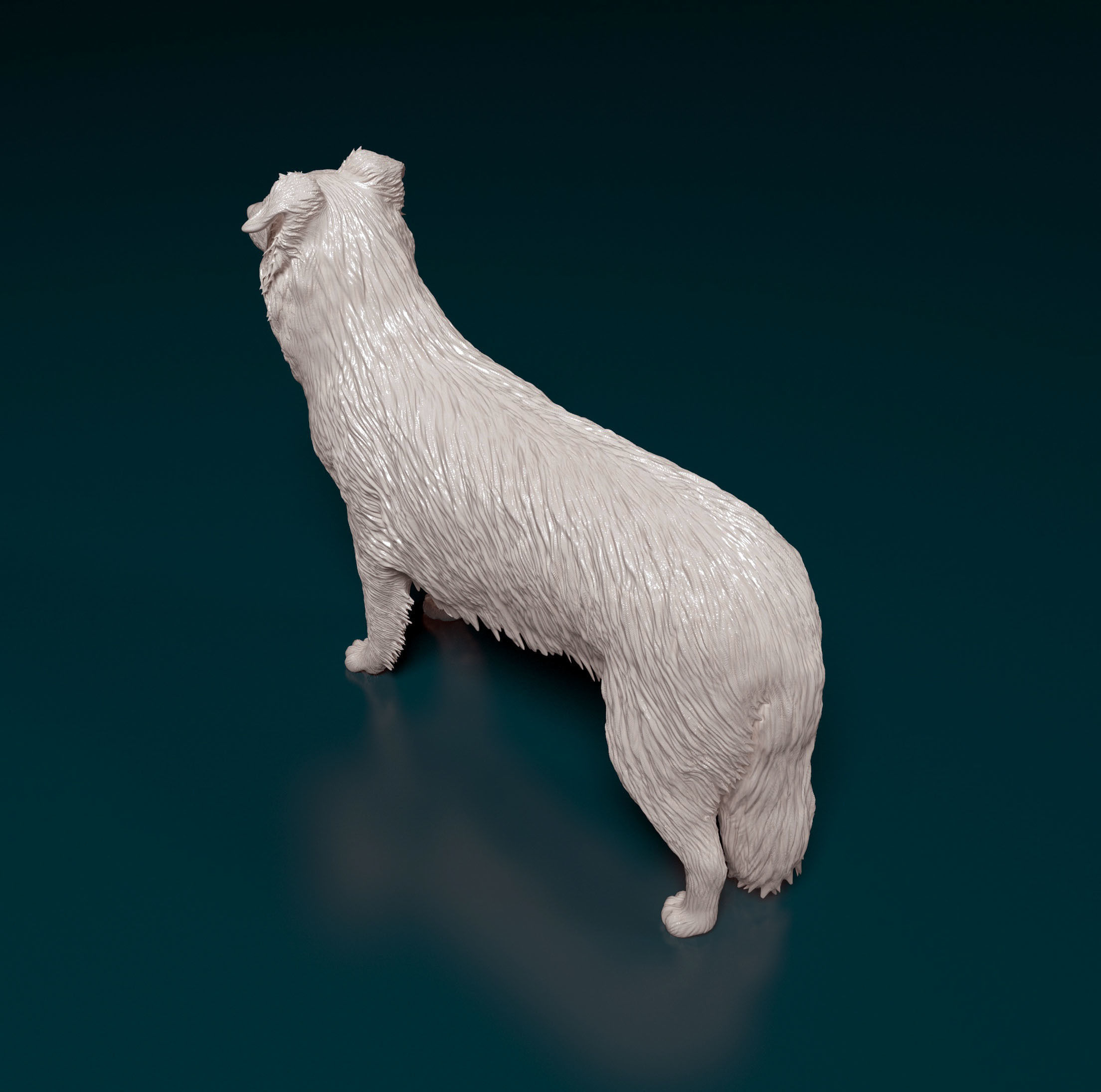 Border Collie 3D print model_4