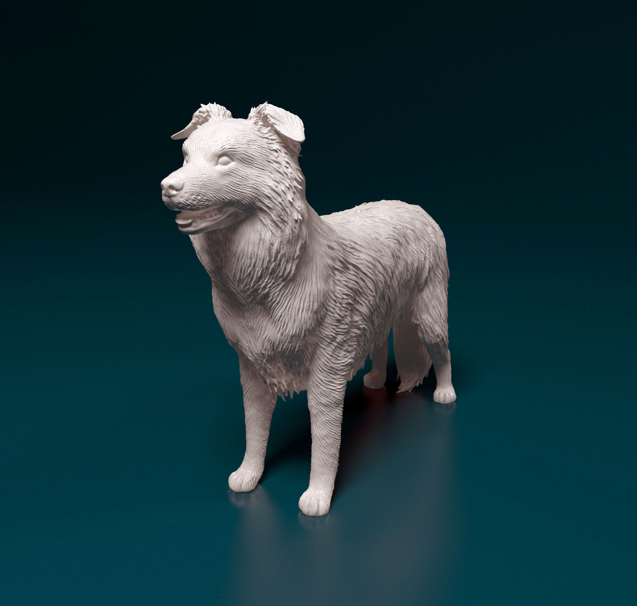 Border Collie 3D print model_5