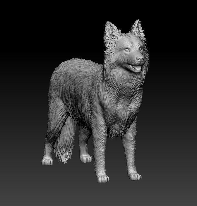 Border Collie 3D print model_8